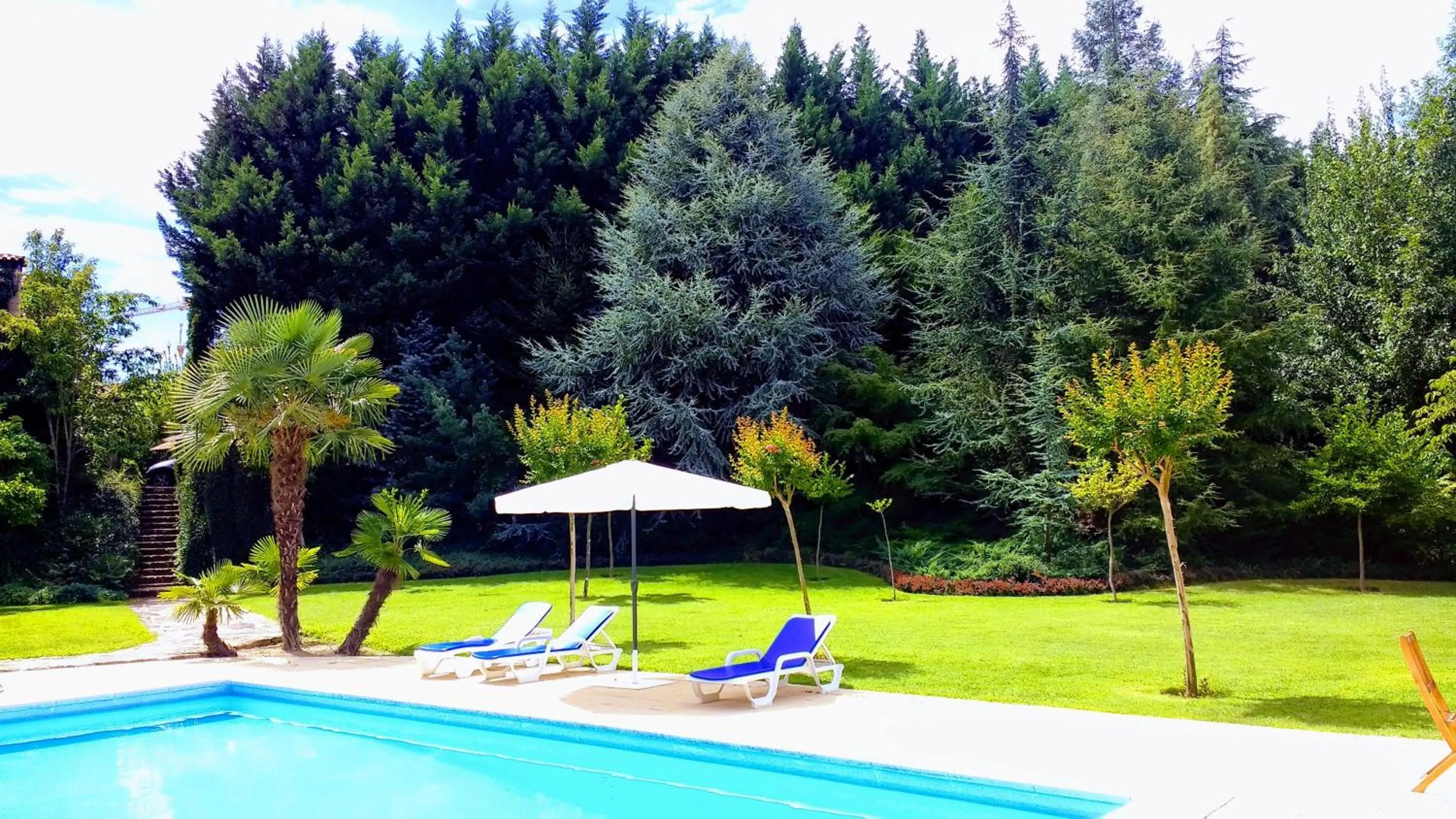 Garden in Casa Do Prado Guesthouse