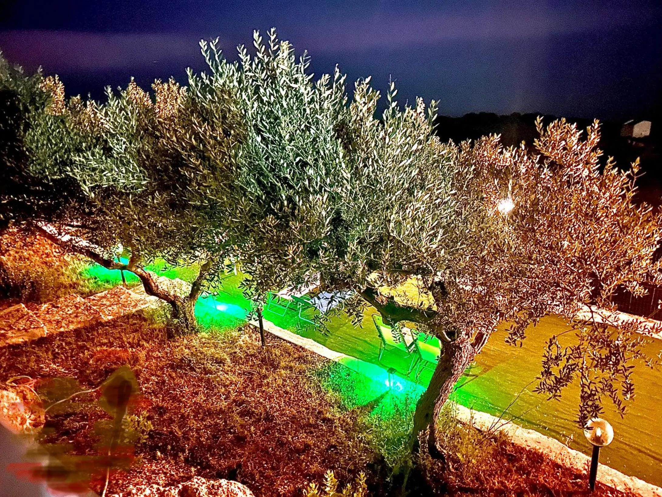 Night in La Collina sul Mare