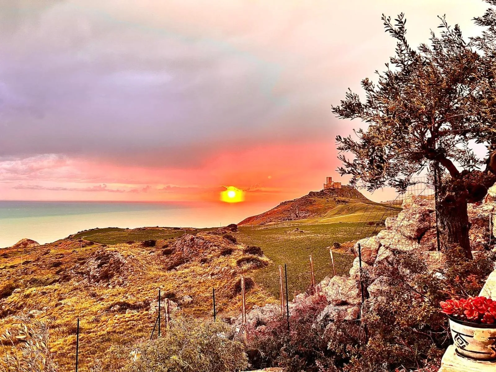 View (from property/room) in La Collina sul Mare
