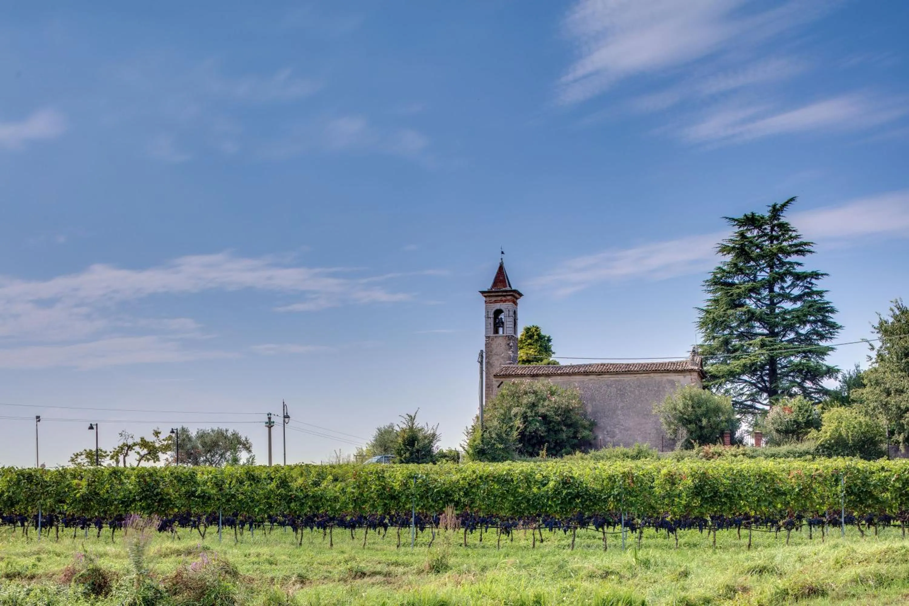 Landmark view in Tenuta di Palú