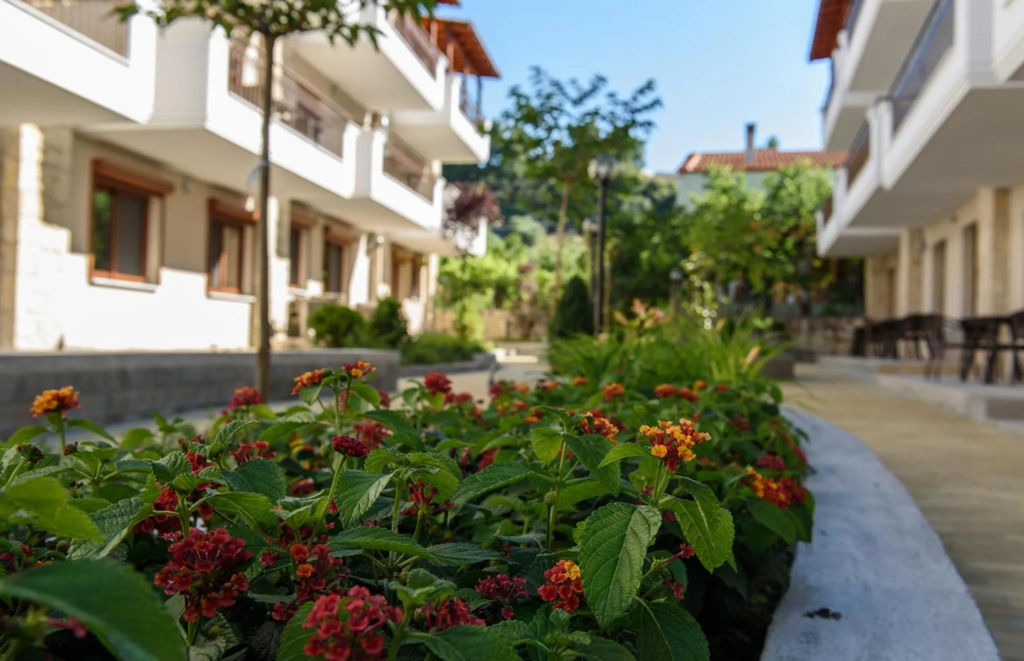 Property building in Apanemia by Flegra Hotels