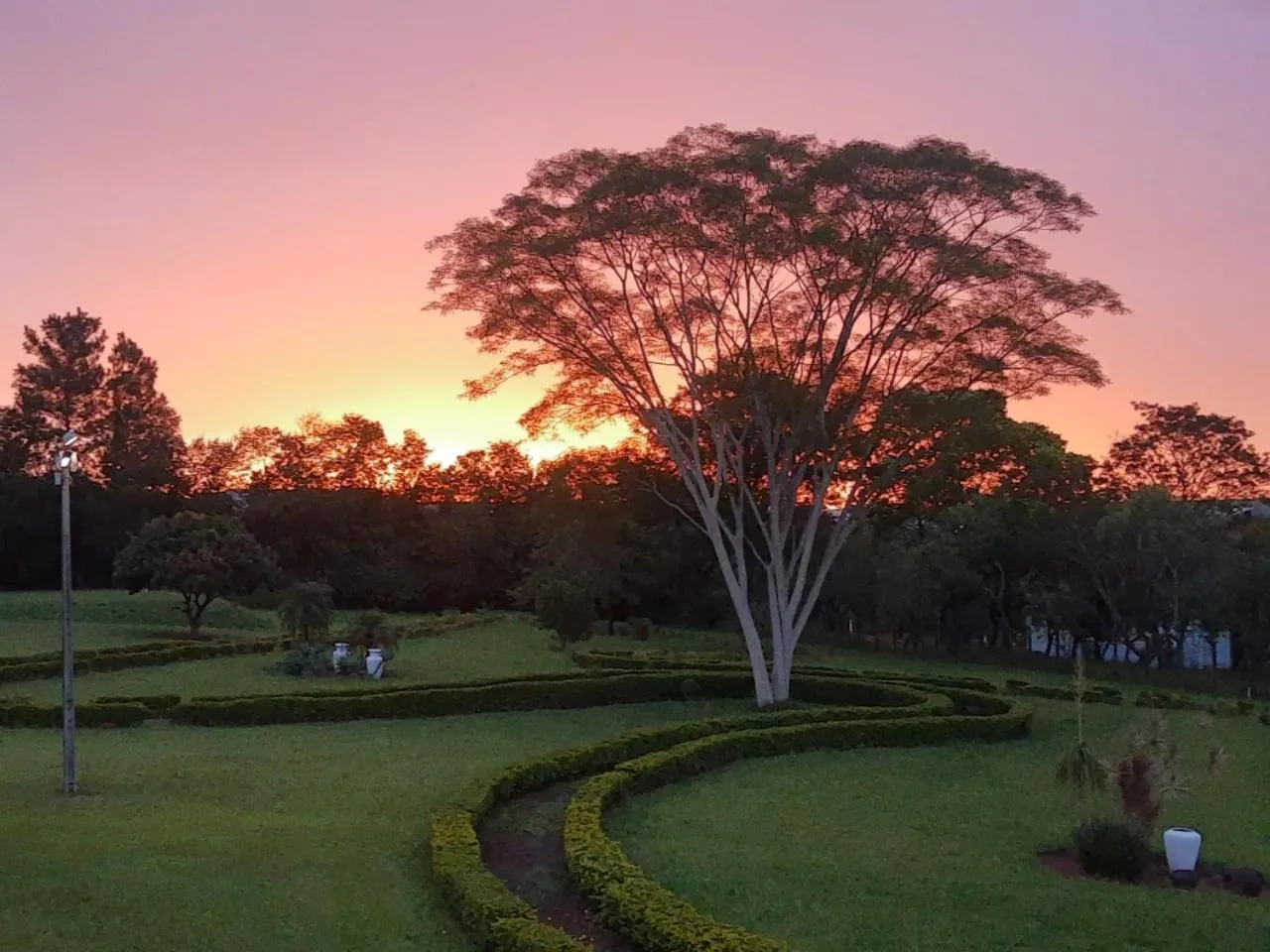 Garden view in Hotel San Paolo
