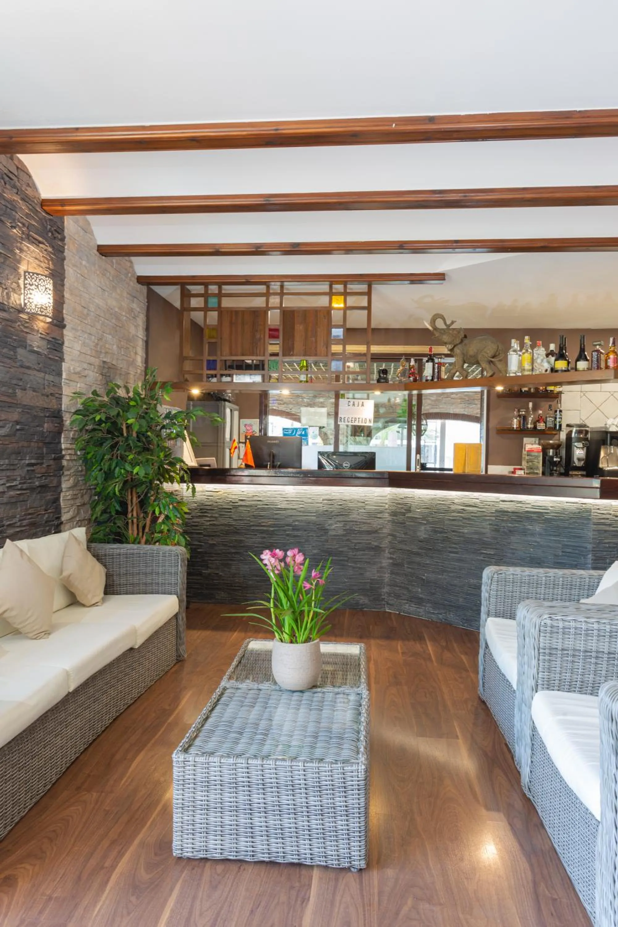 Lobby or reception in Casa Lili