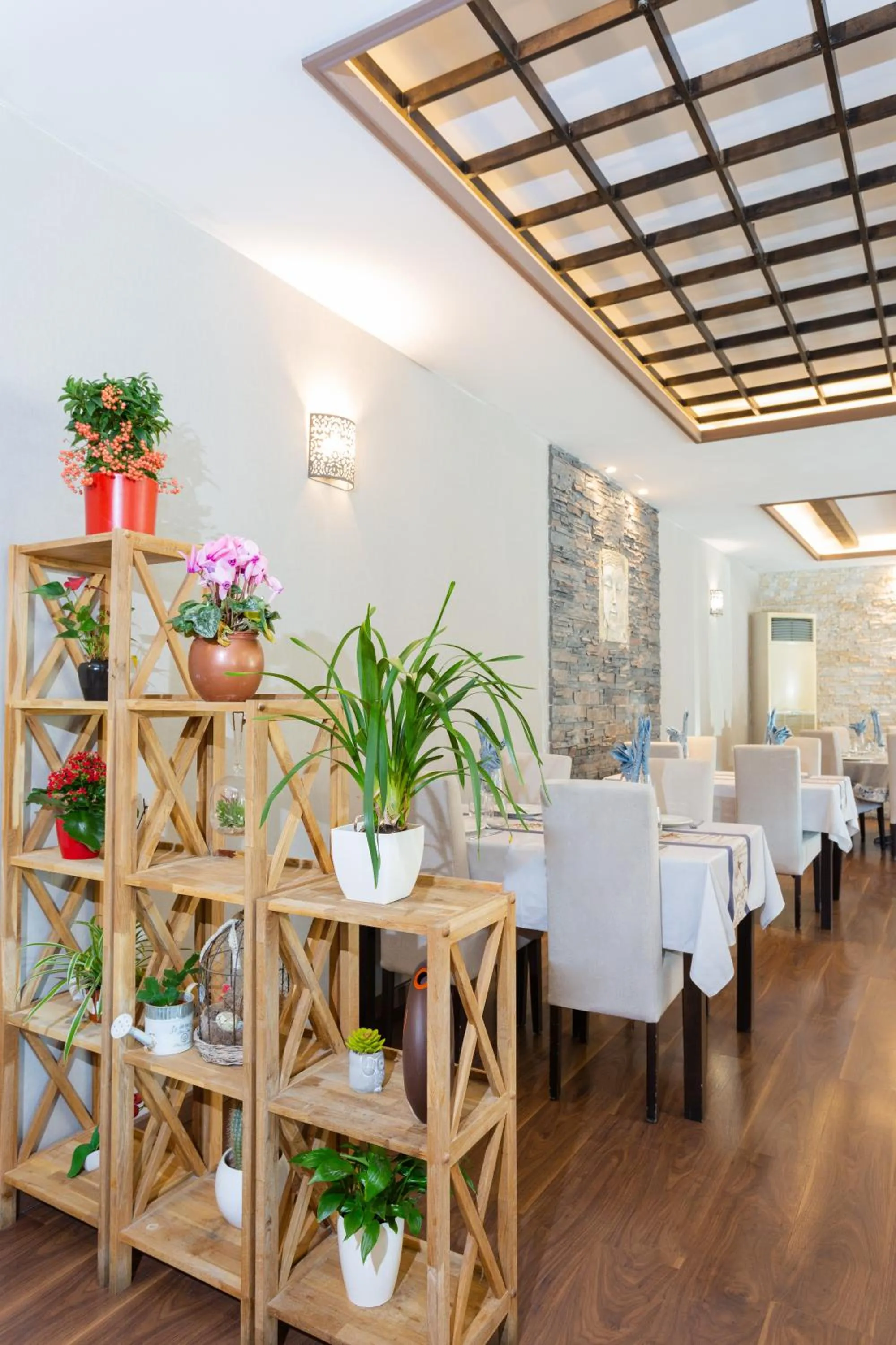 Restaurant/places to eat in Casa Lili