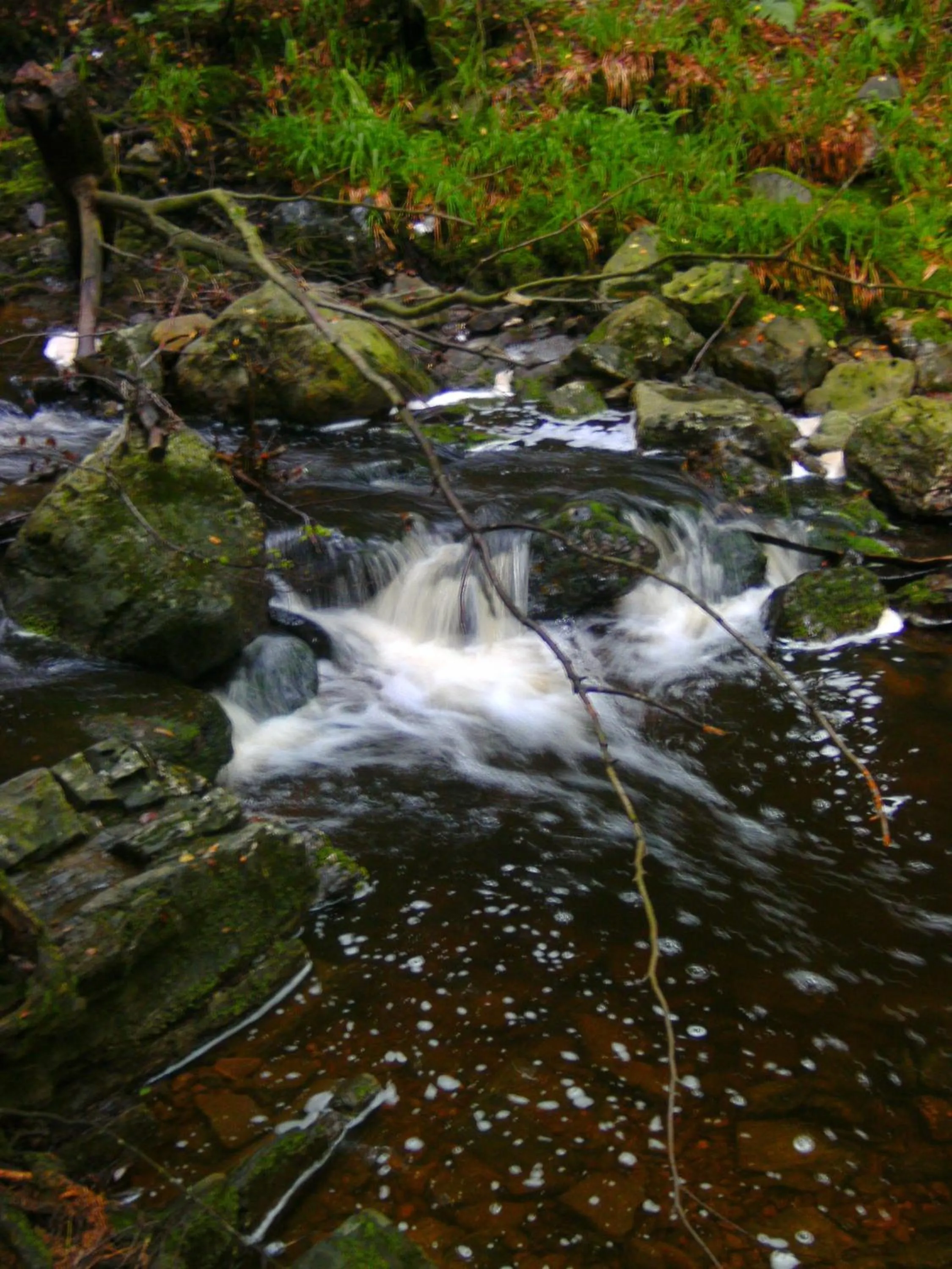 B&B Le Petit Normand