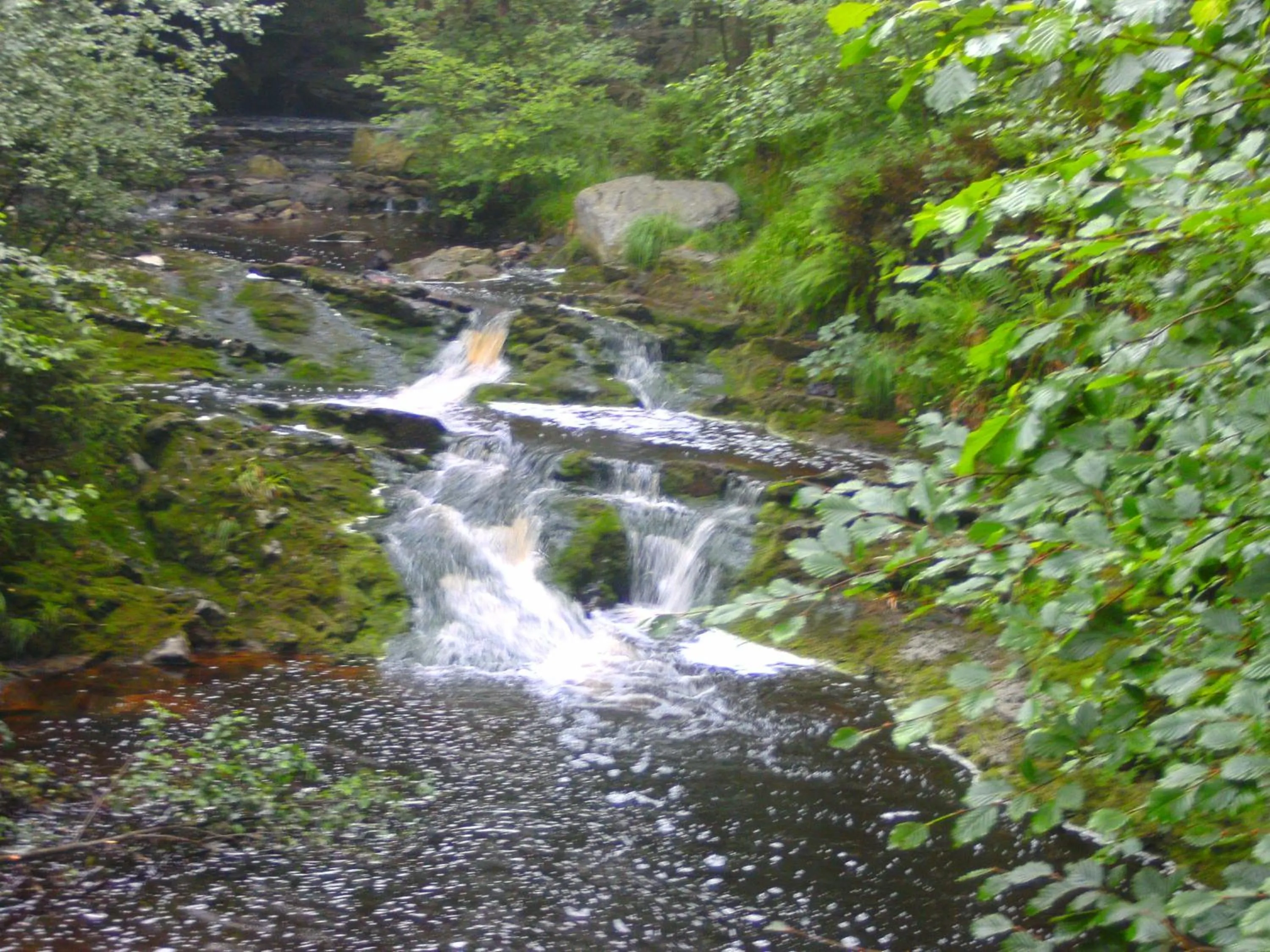 B&B Le Petit Normand