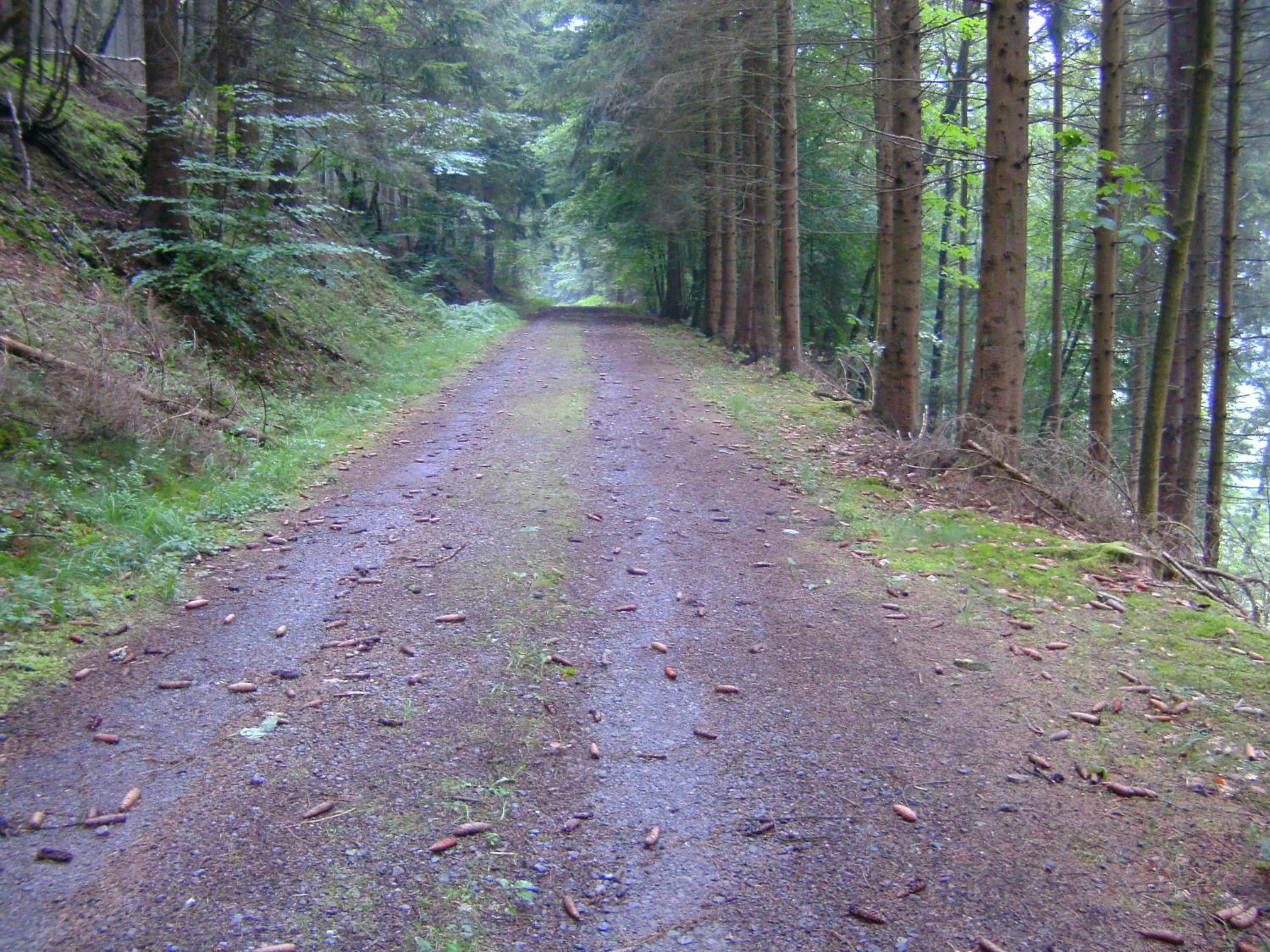 B&B Le Petit Normand