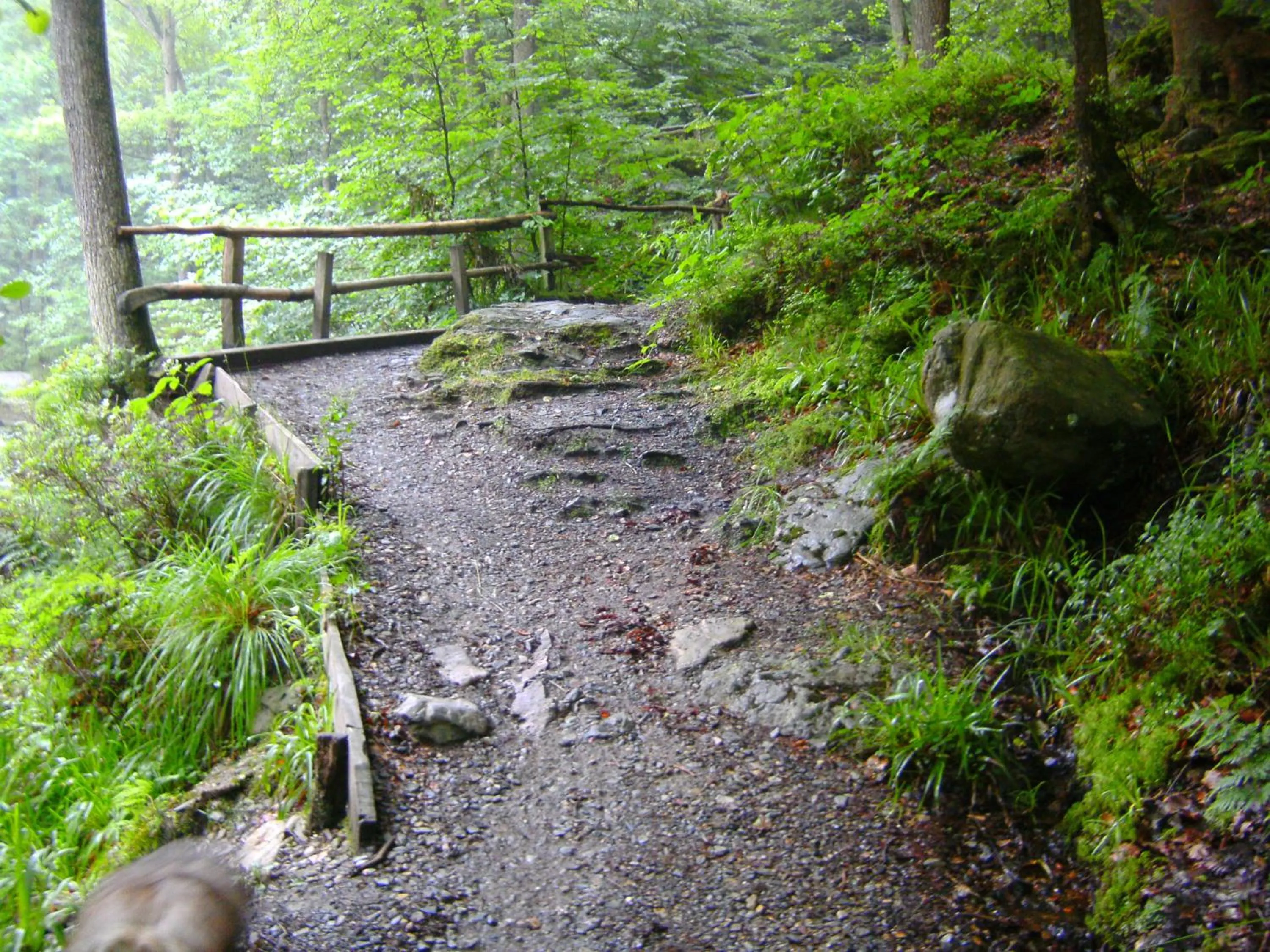 B&B Le Petit Normand