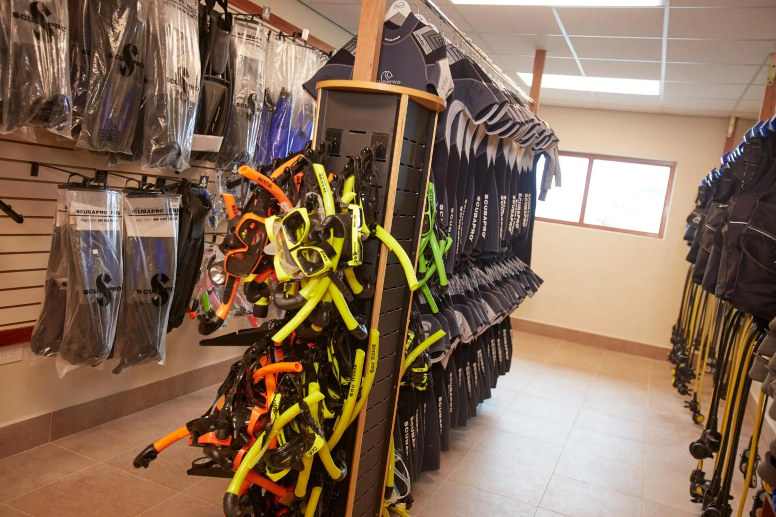 Other in Divi Flamingo Beach Resort