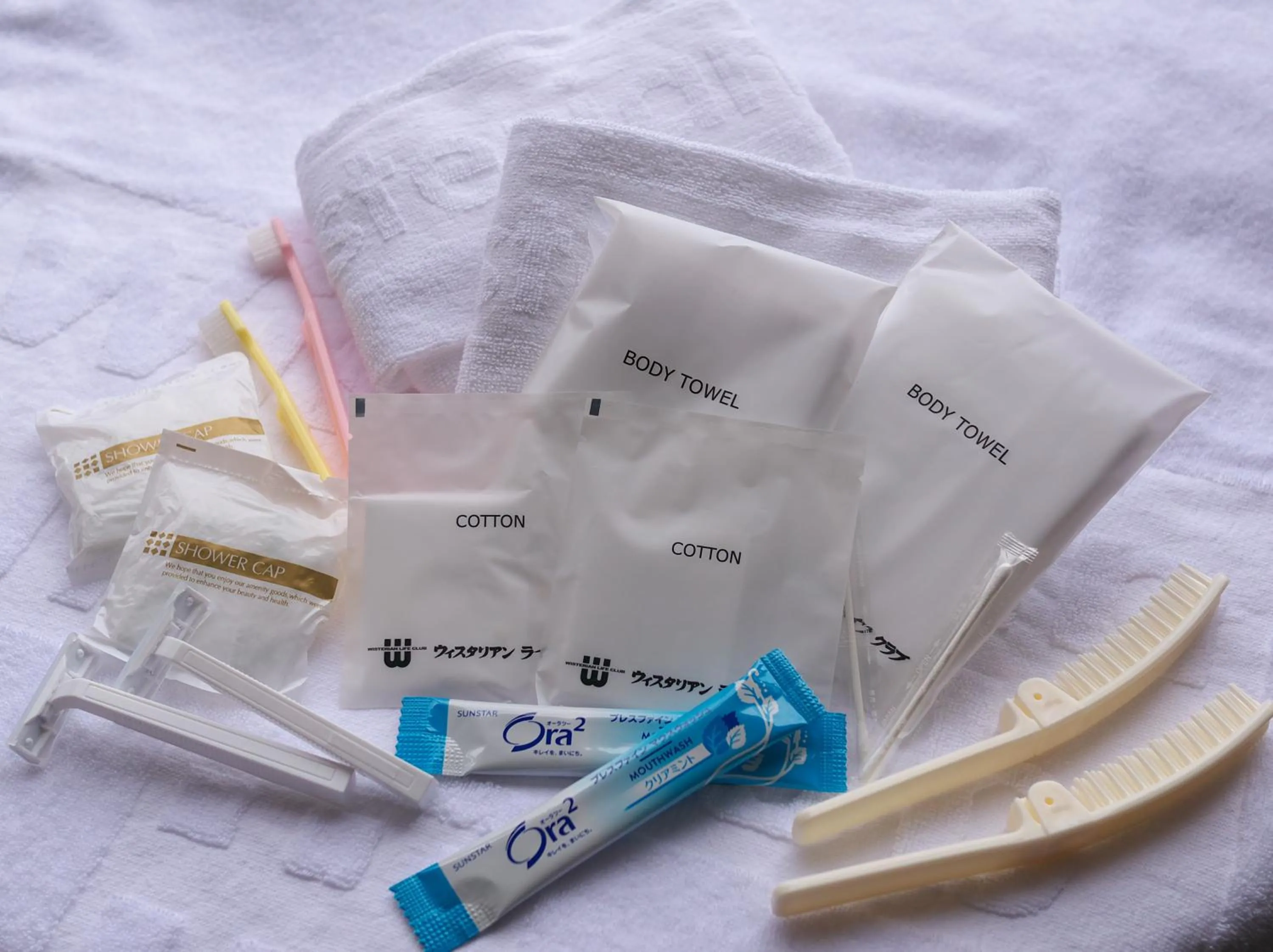 Other in Wisterian Life Club Atami