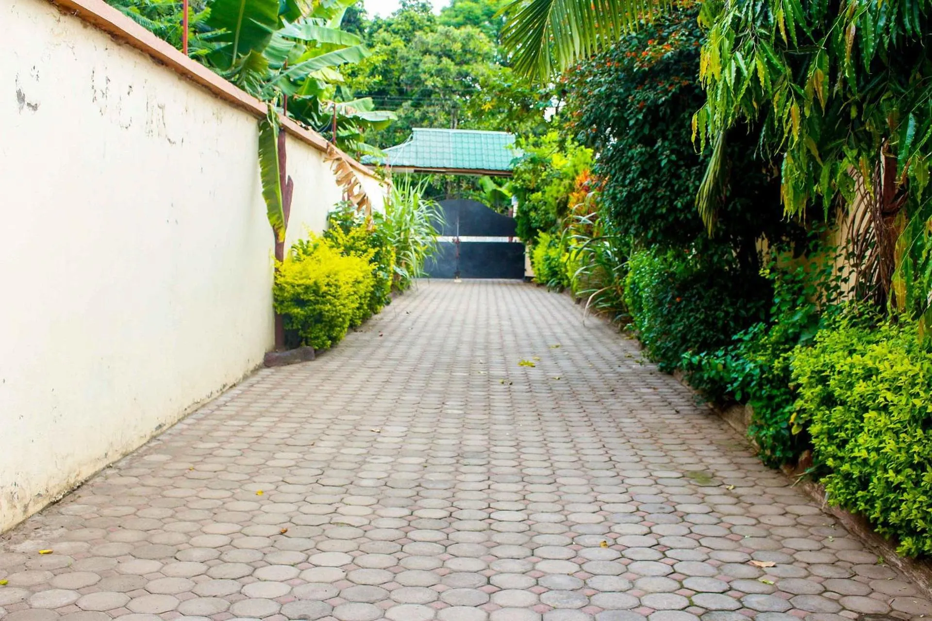 Facade/entrance in Bright Star Hotel & Safaris