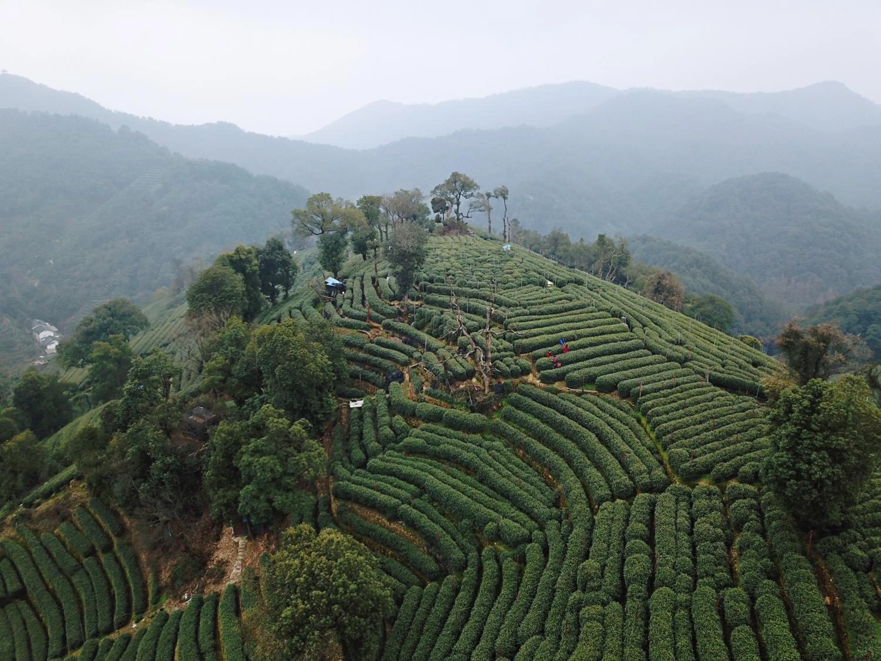 Spring in Aventree Hotel