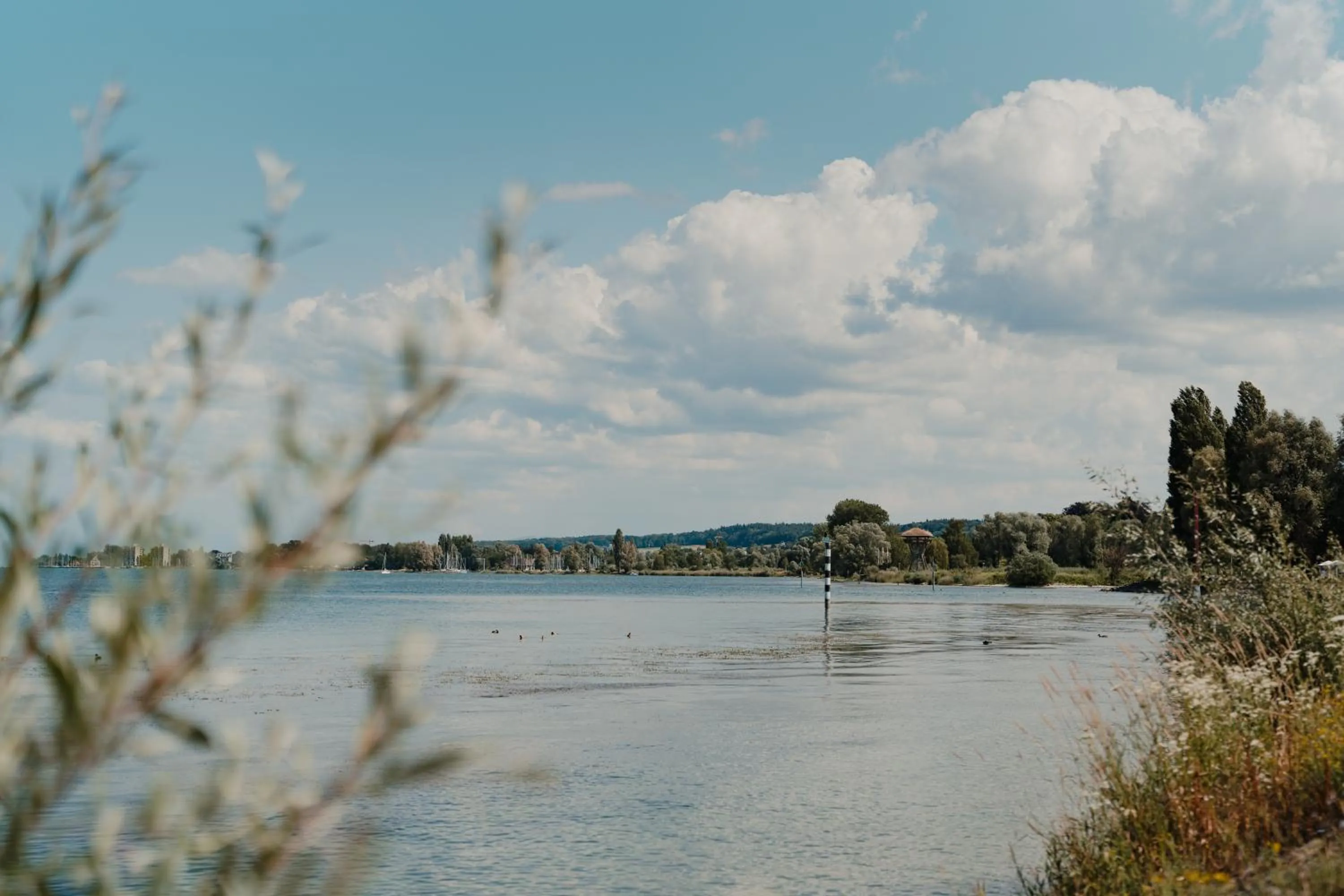 Nearby landmark in Hotel am Fischmarkt