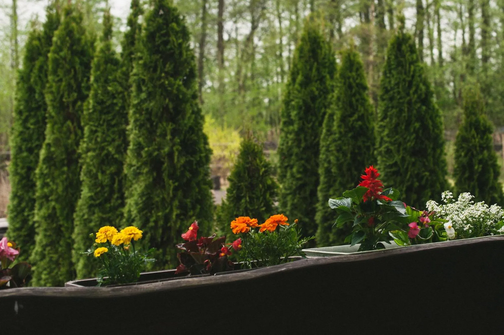 Balcony/Terrace in Gasan Place - Domki na Mazurach
