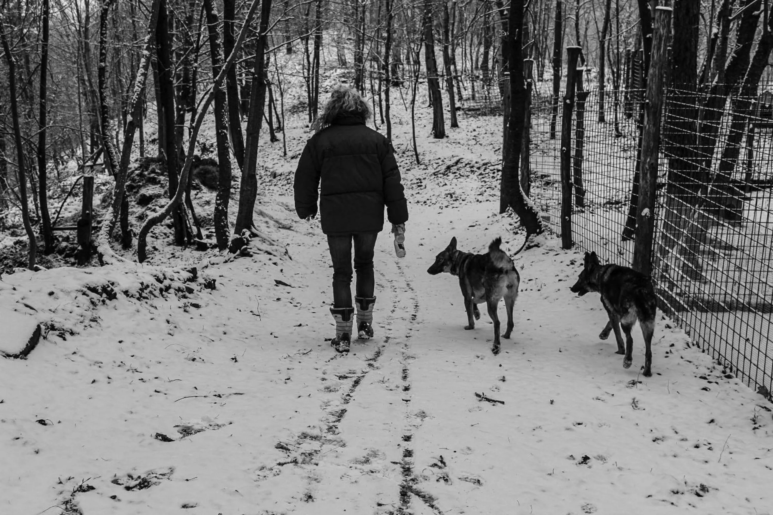 Pets in B&B Pian Savin