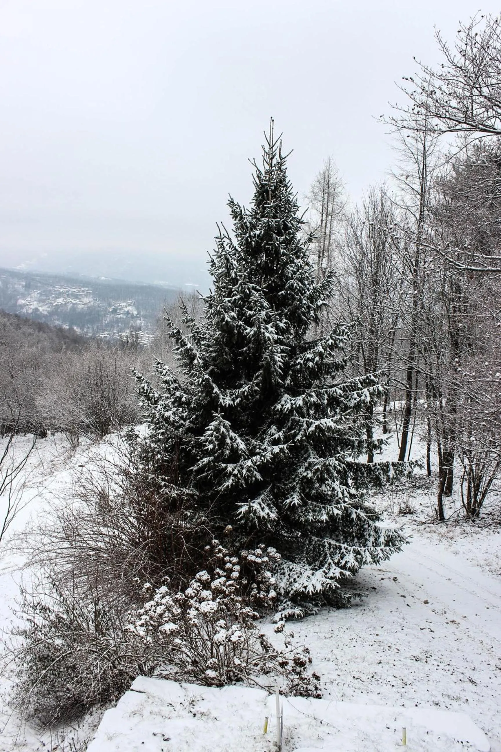Natural landscape in B&B Pian Savin