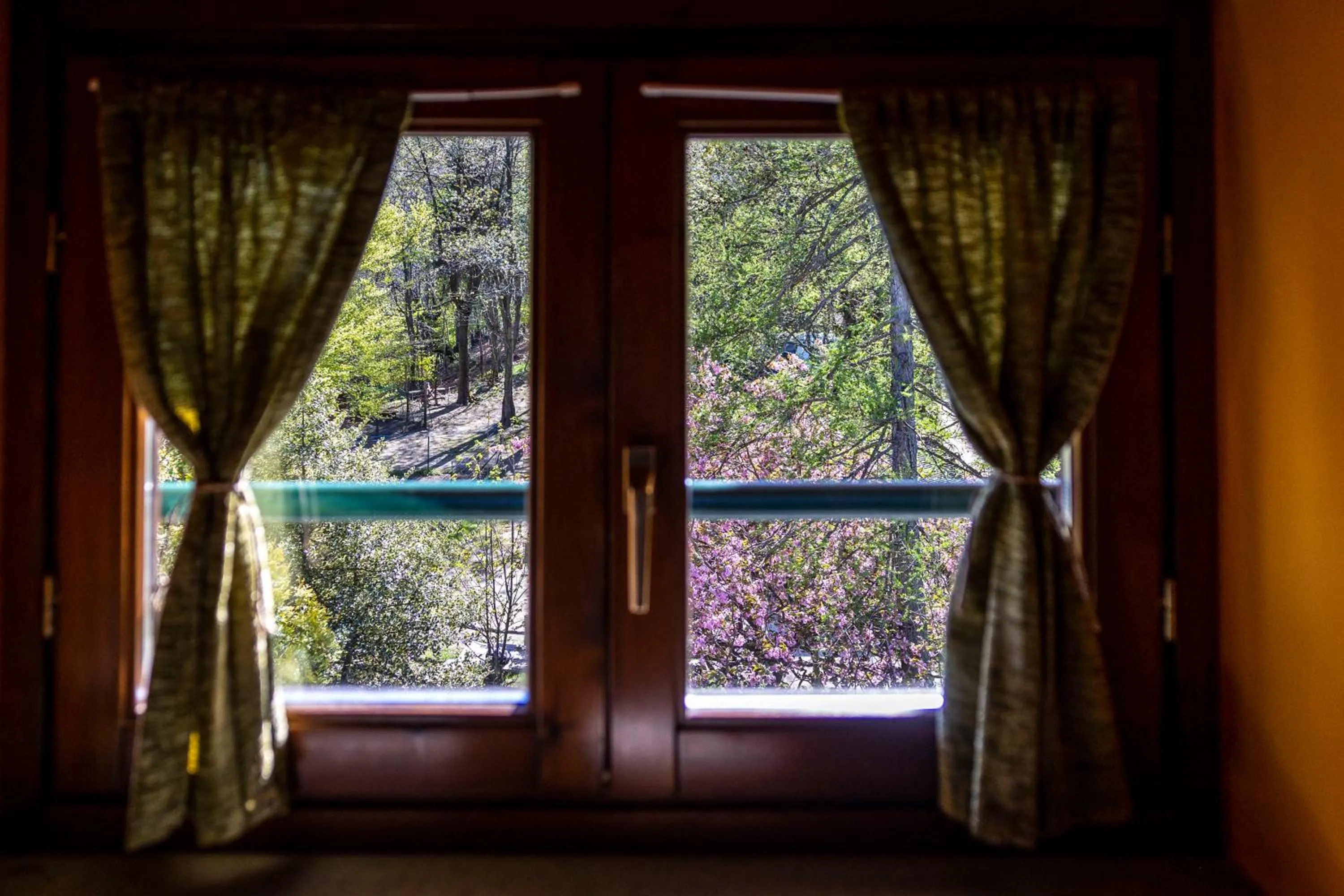 View (from property/room) in B&B Pian Savin