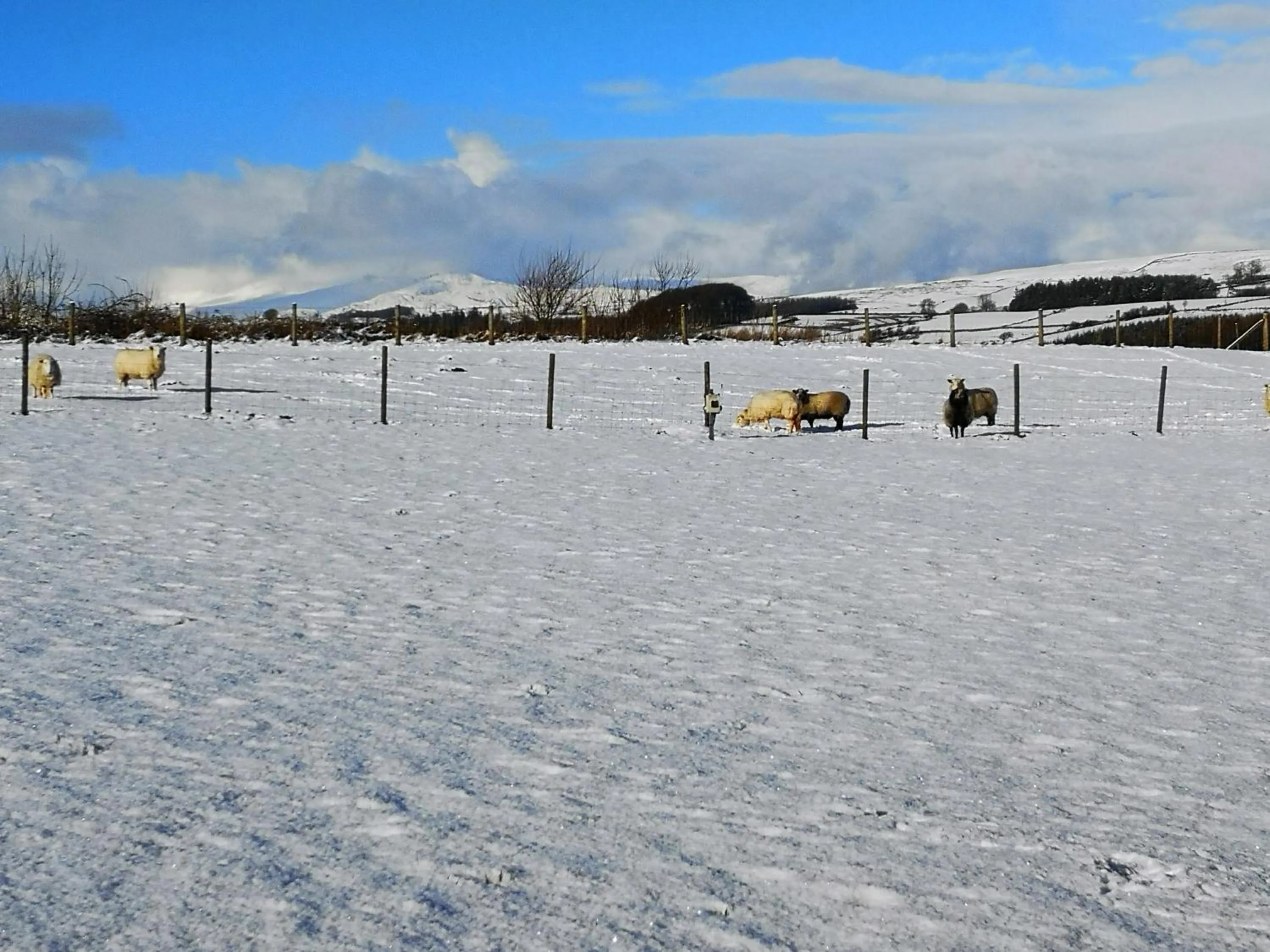 Winter in Y Giler Arms