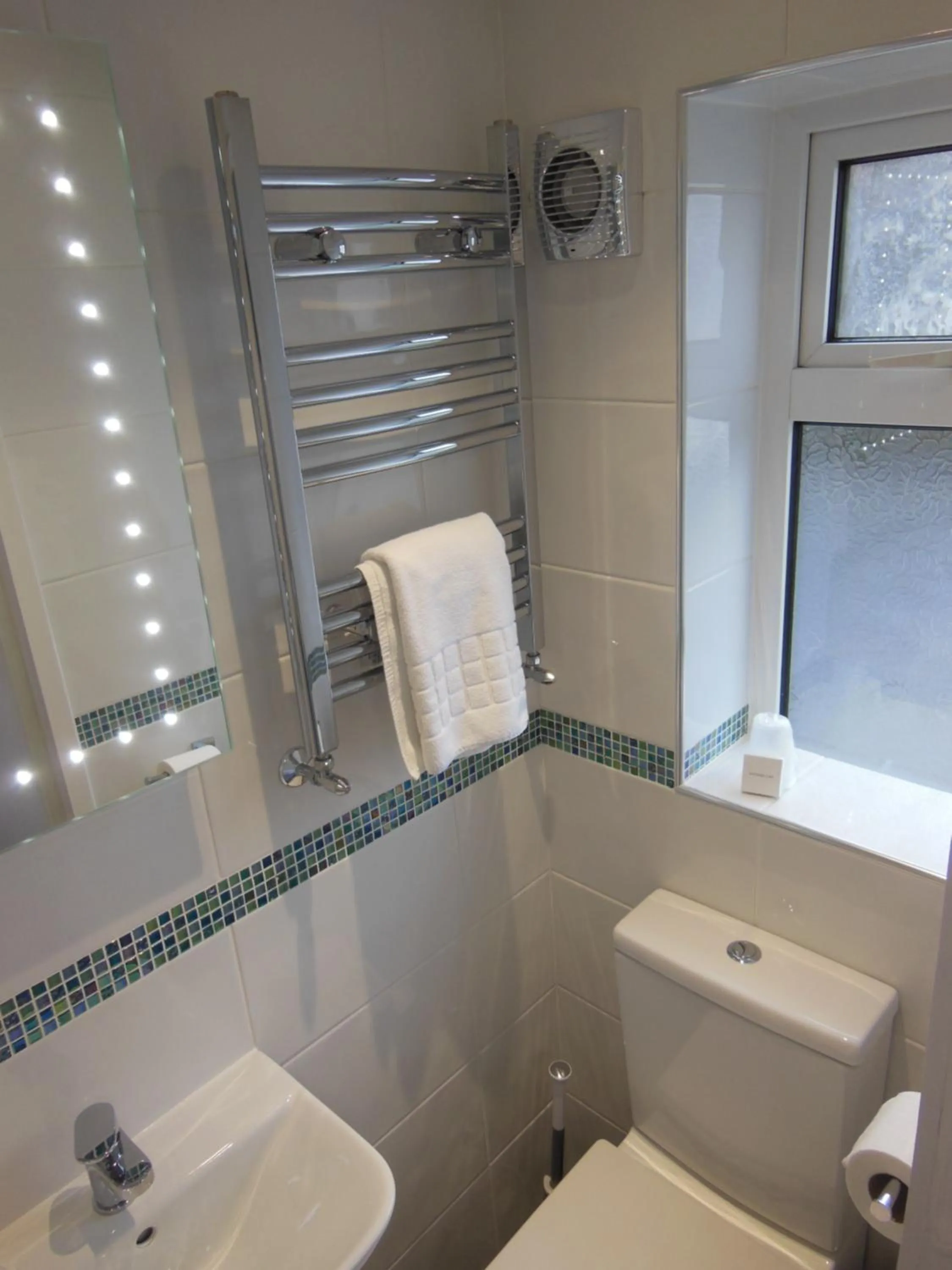 Shower in Y Giler Arms