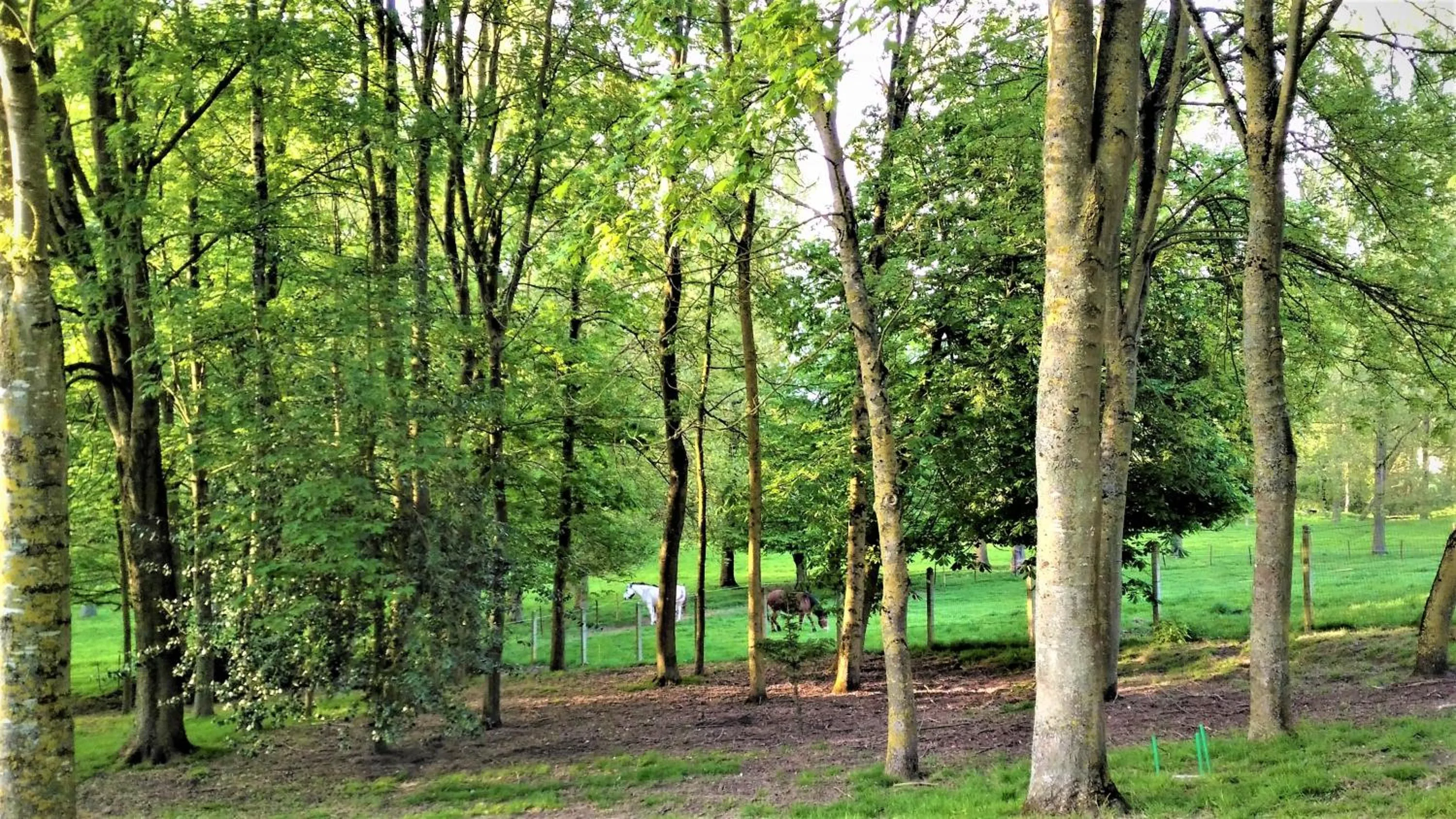 Natural landscape in La Gypsy Caravan