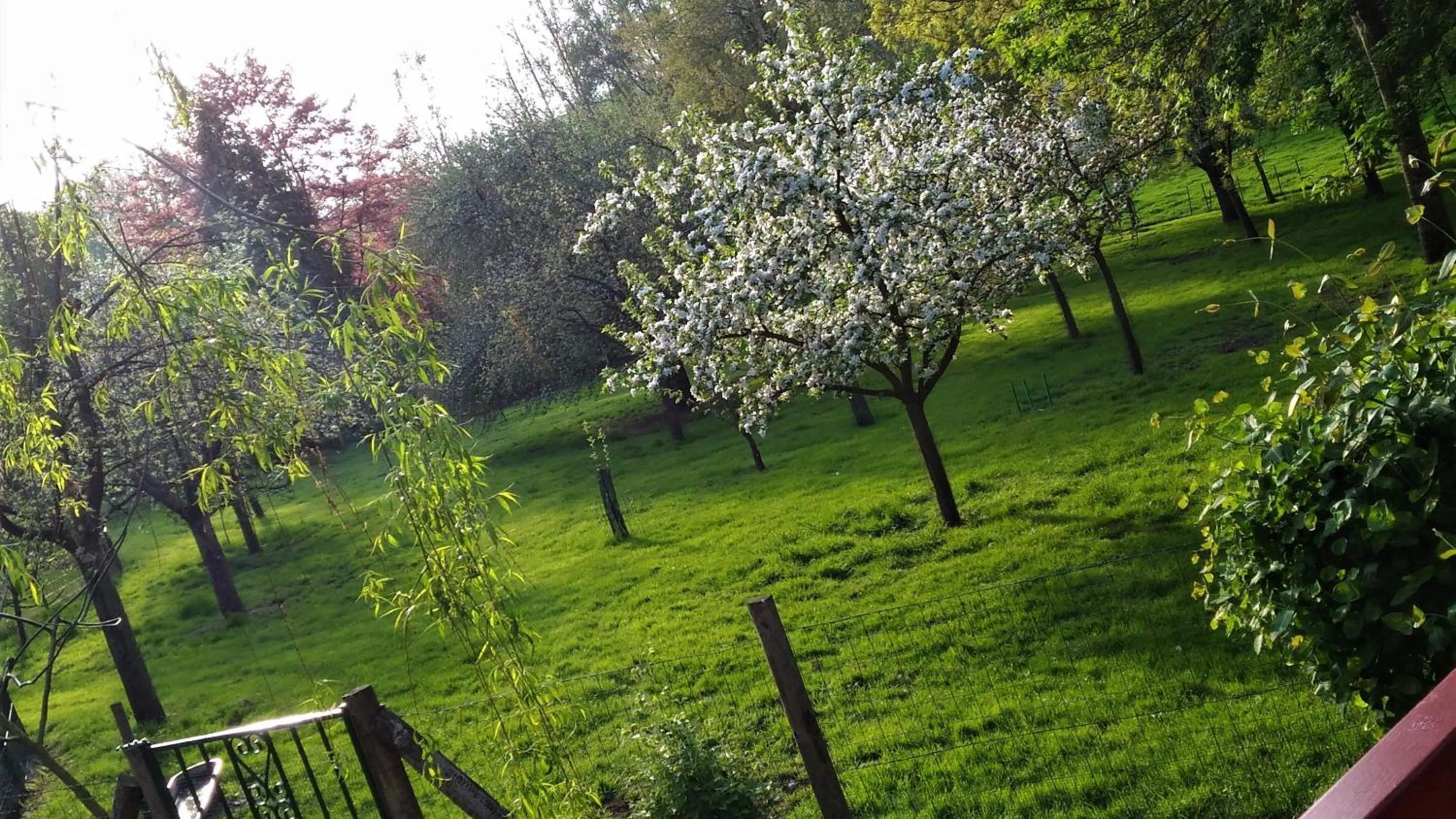 Garden in La Gypsy Caravan