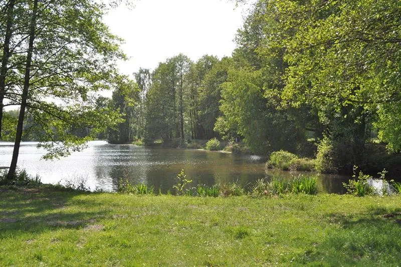 Lake view in Ferienpark Tannenbruchsee