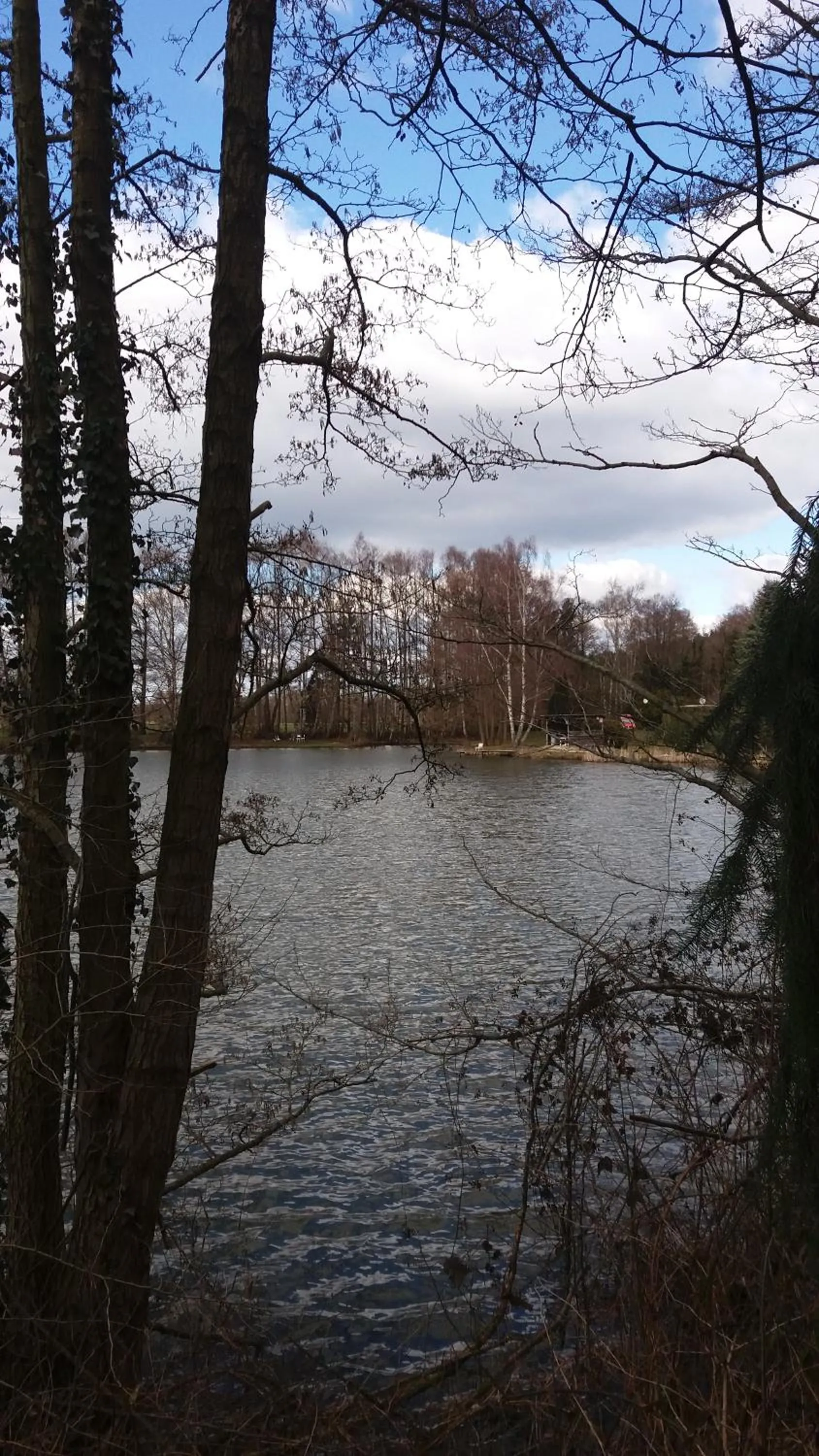Natural landscape in Ferienpark Tannenbruchsee