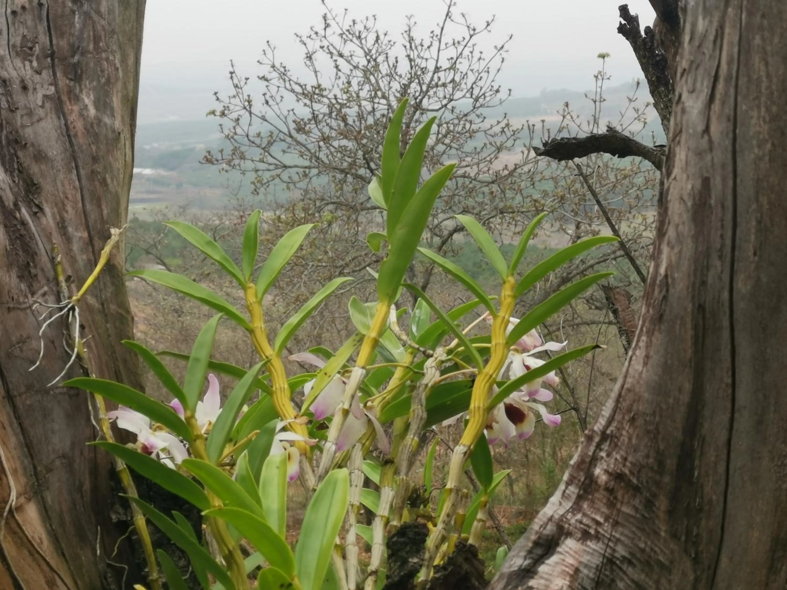 Natural landscape in Eloff Guest House and Gallery