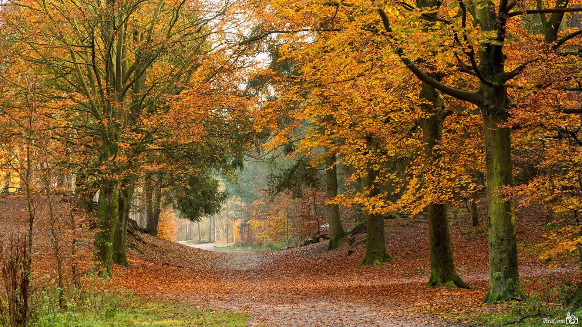 Natural landscape in La Grange 28