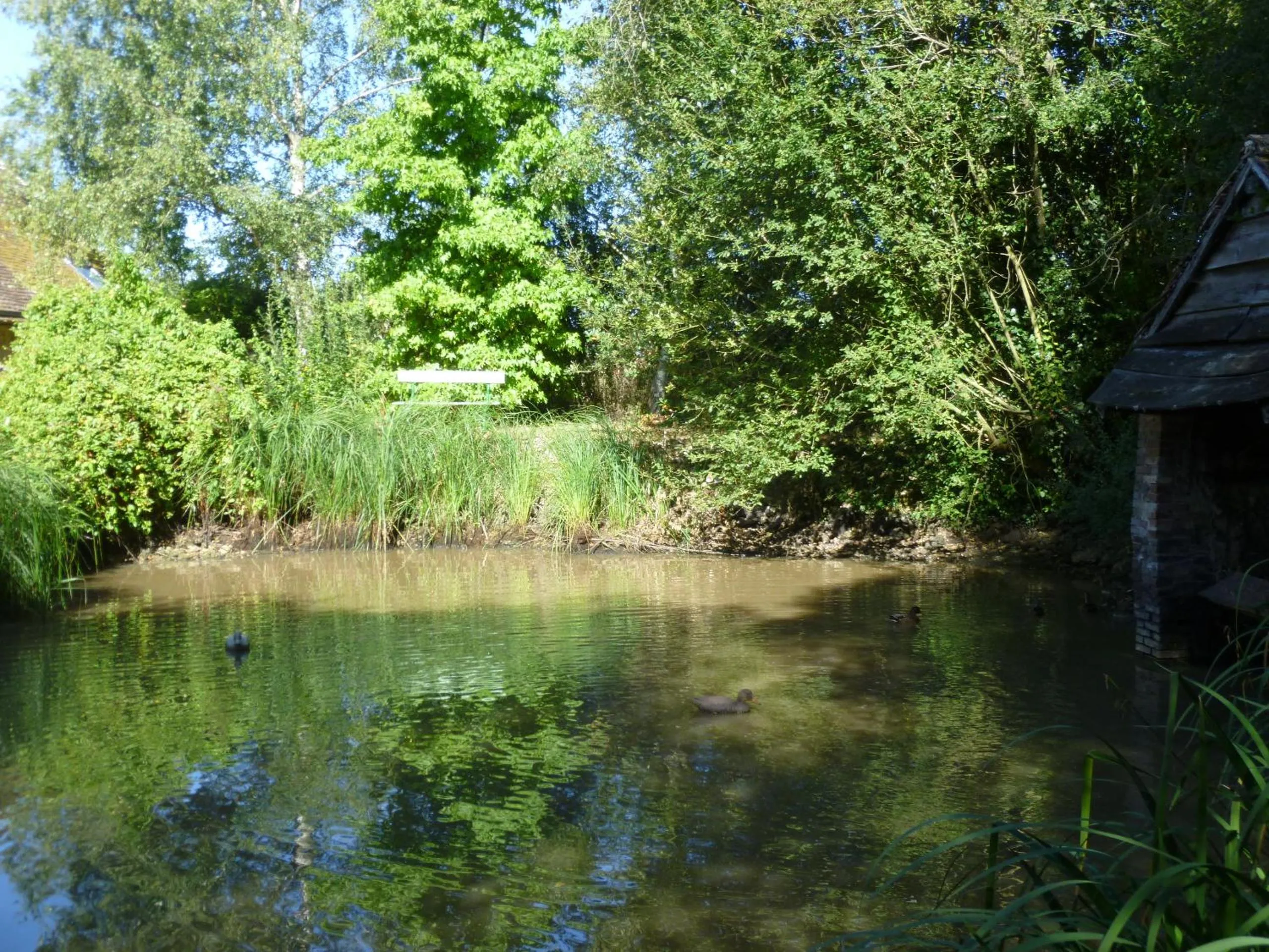 View (from property/room) in La Sauleraie