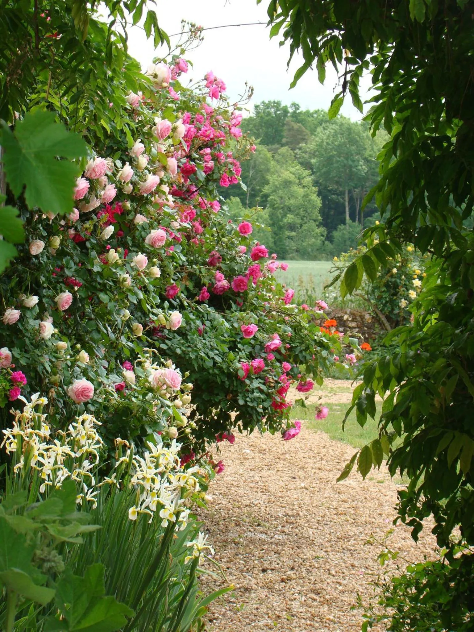 Garden in La Sauleraie