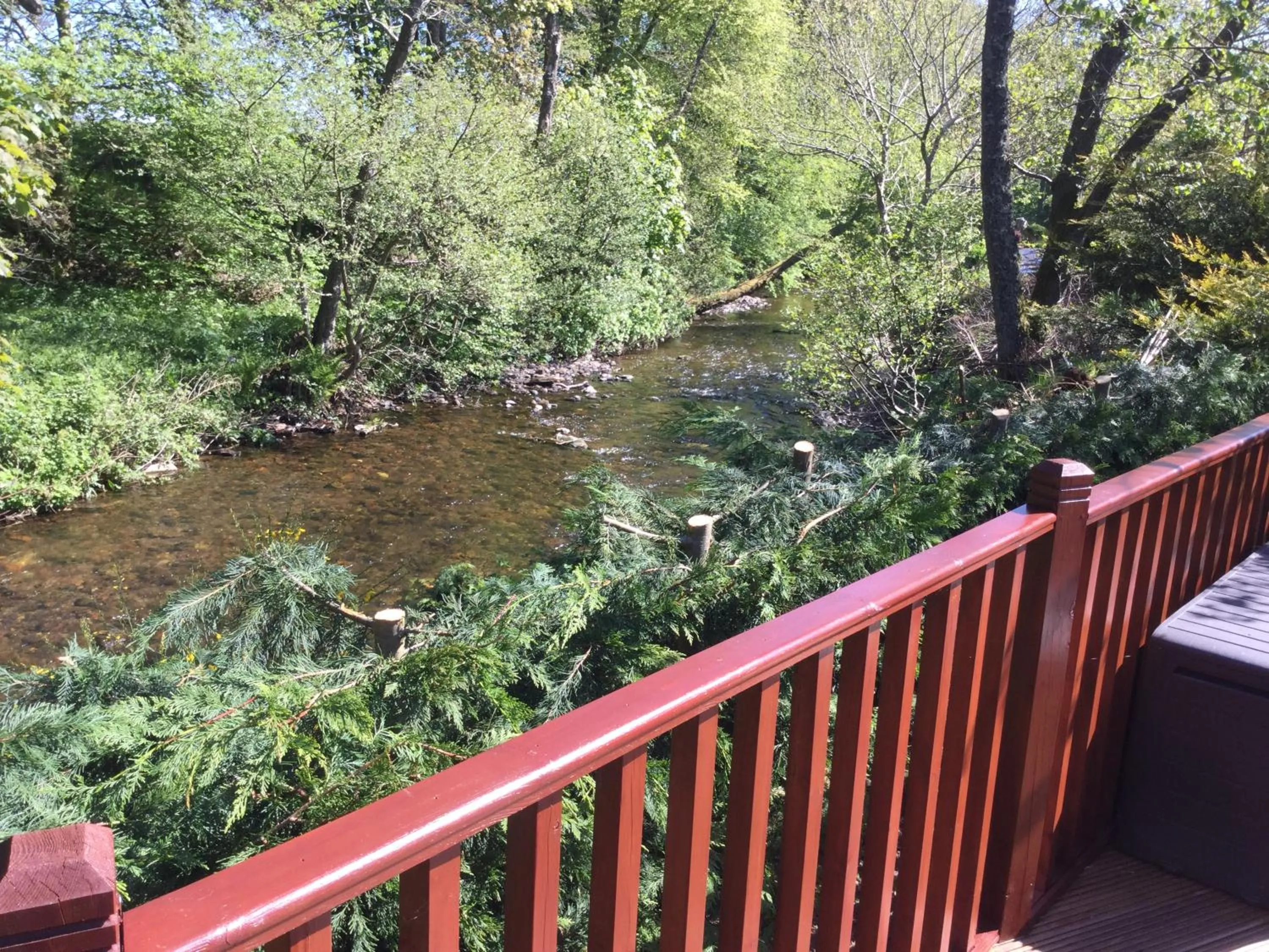 River view in Rannoch Lodge