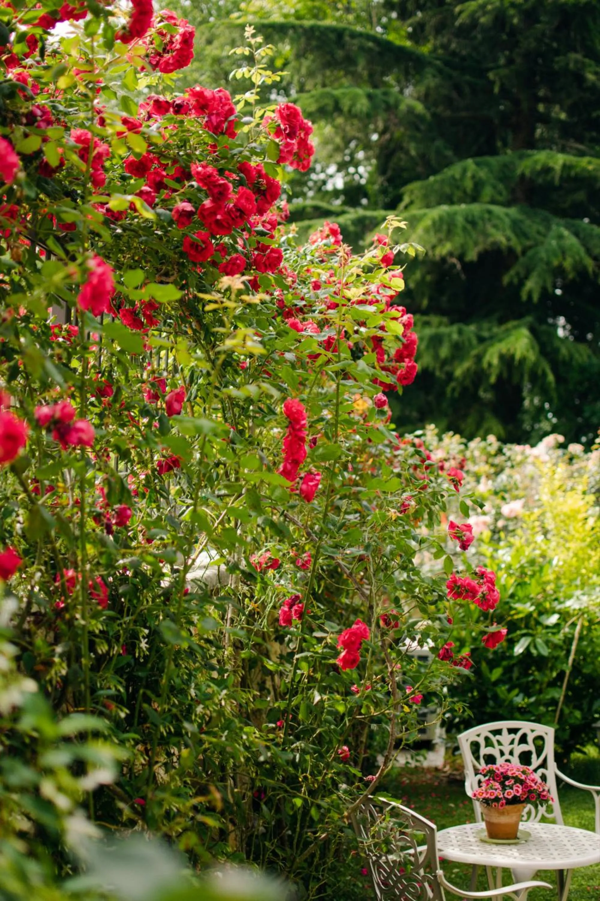 Garden in Rama Relais