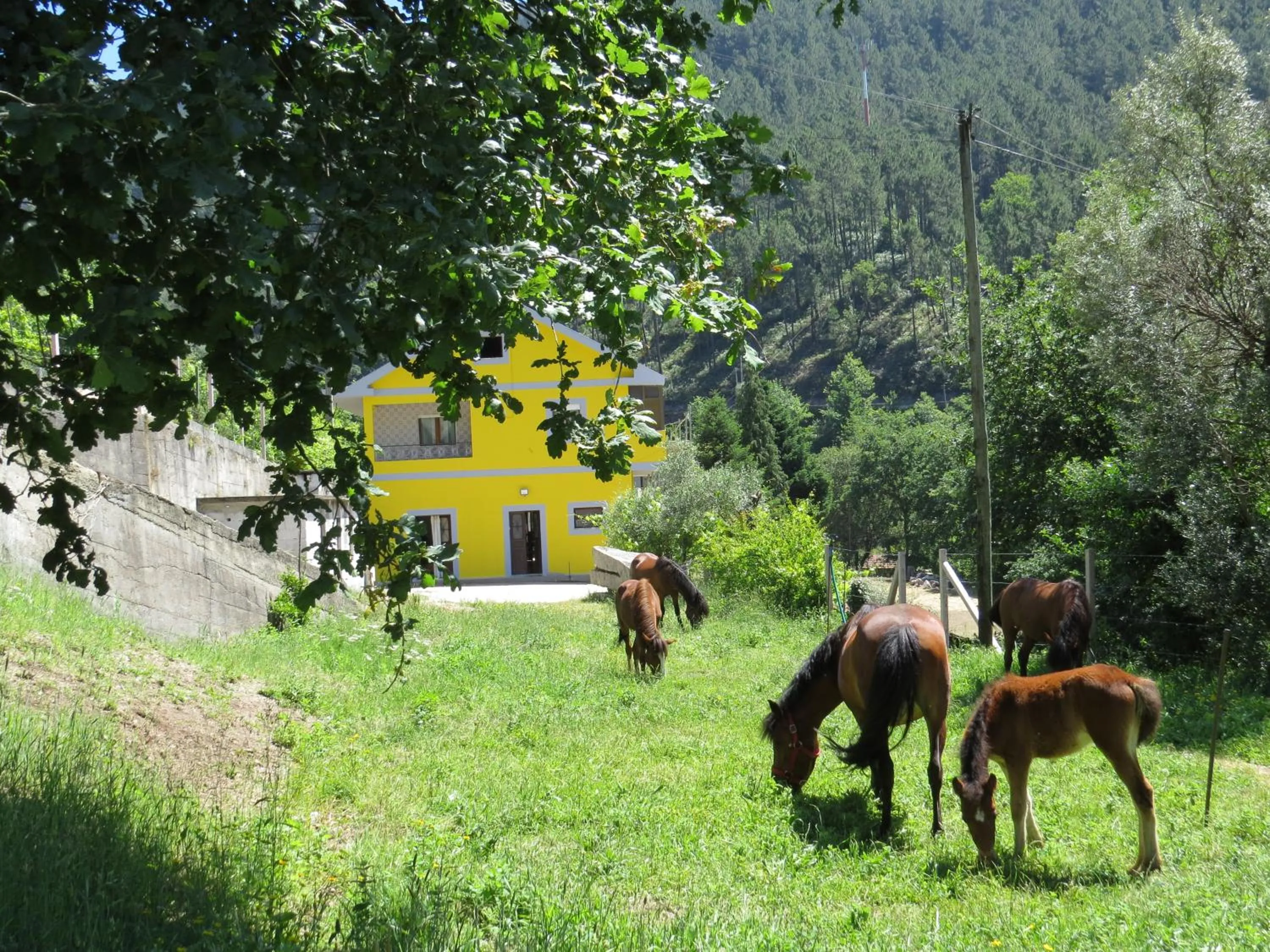 Quinta Machado Da Pedra Bela