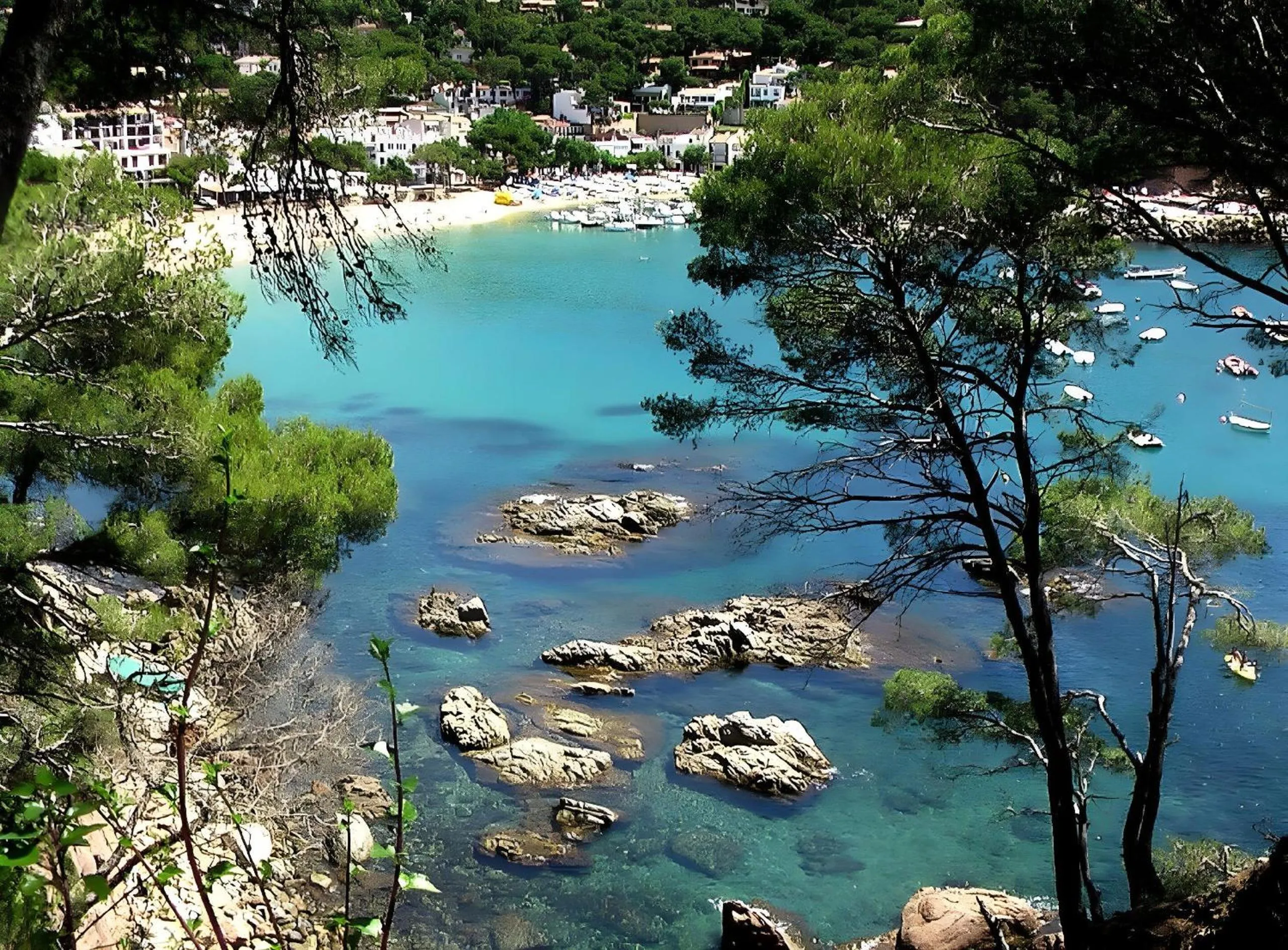 Beach in ApartmentsTamariu4 Unbeatable views 50m to beach