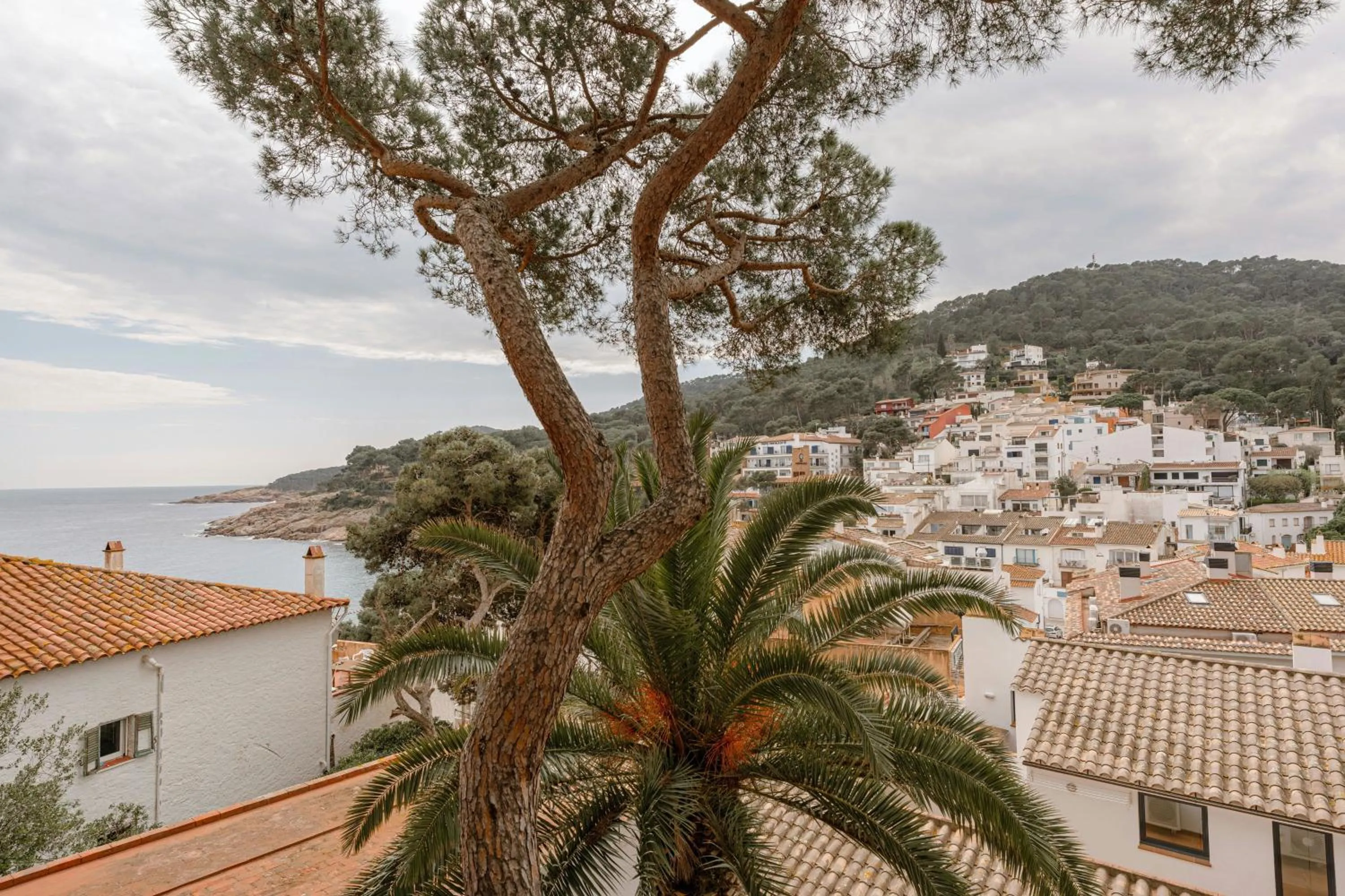 Sea view in ApartmentsTamariu4 Unbeatable views 50m to beach