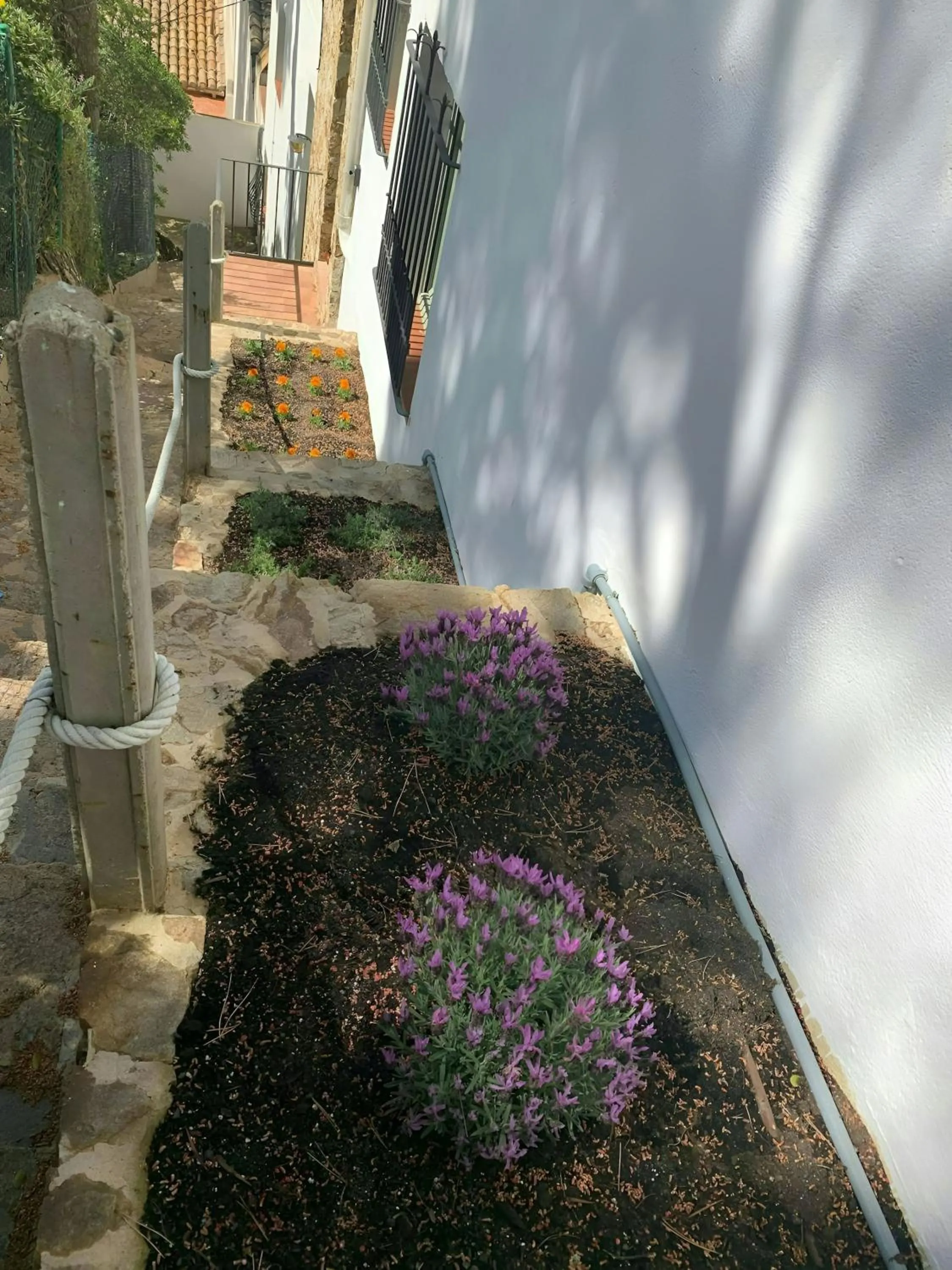 Facade/entrance in ApartmentsTamariu4 Unbeatable views 50m to beach