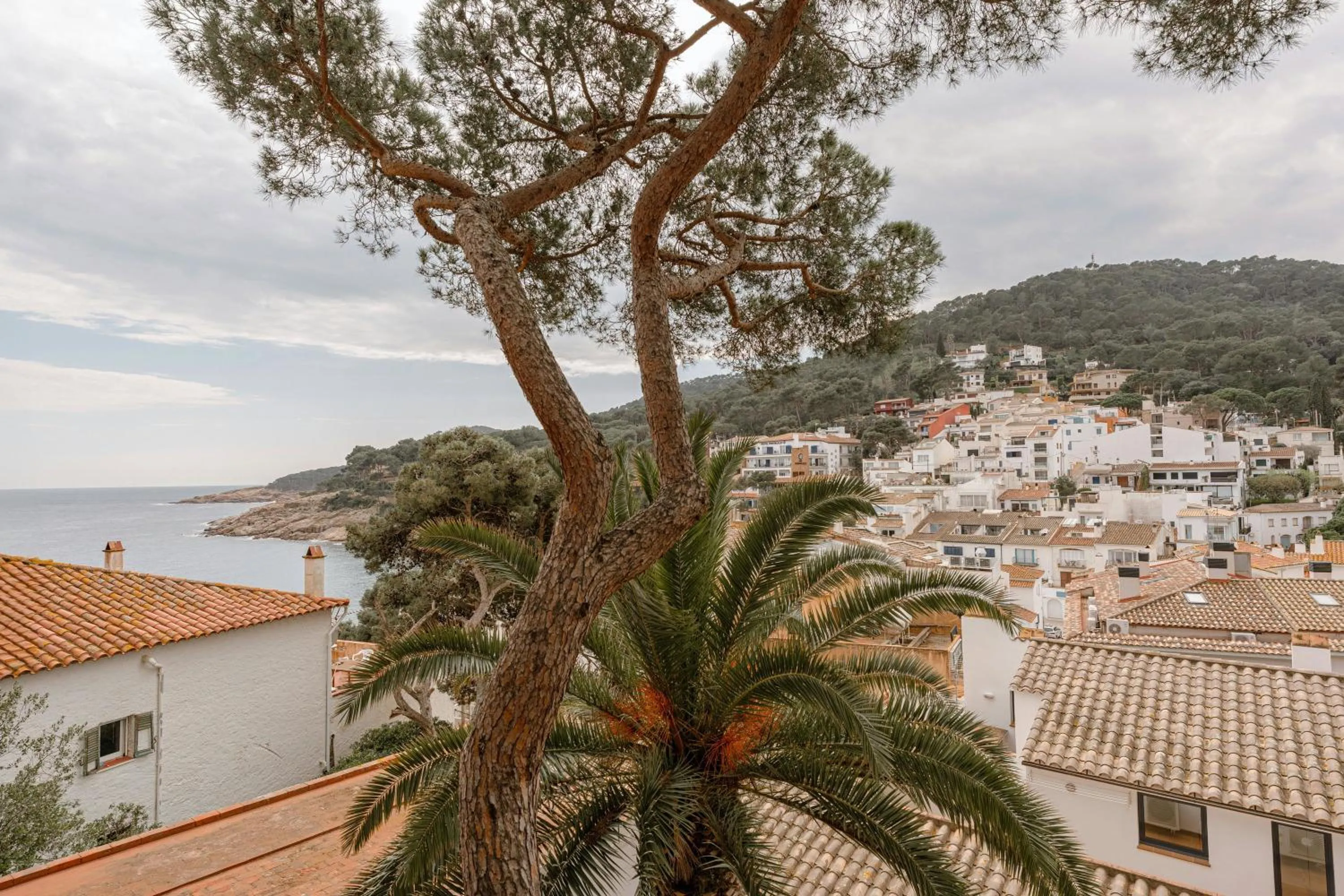 Other in ApartmentsTamariu4 Unbeatable views 50m to beach