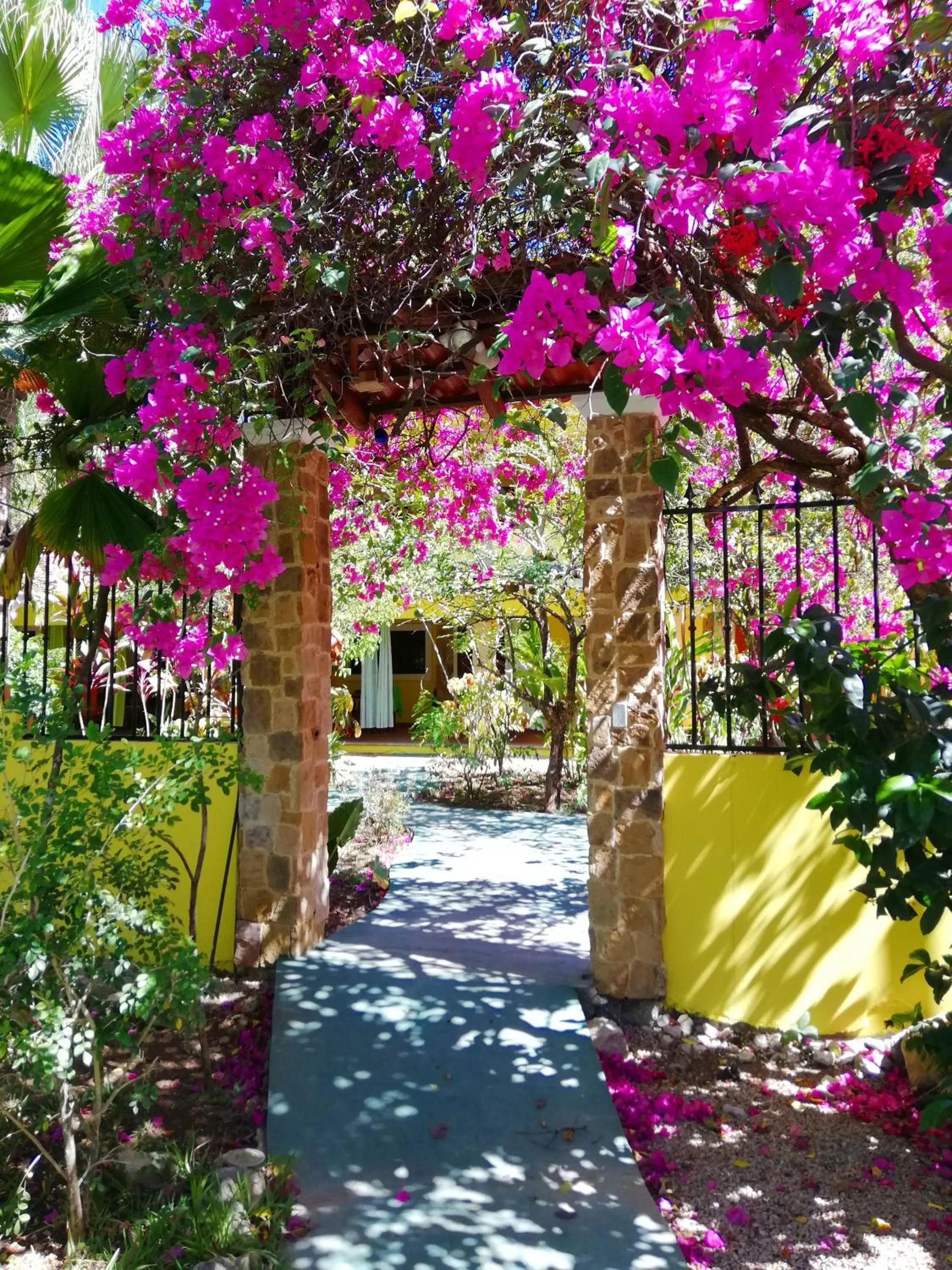 Natural landscape in Villas Verdes