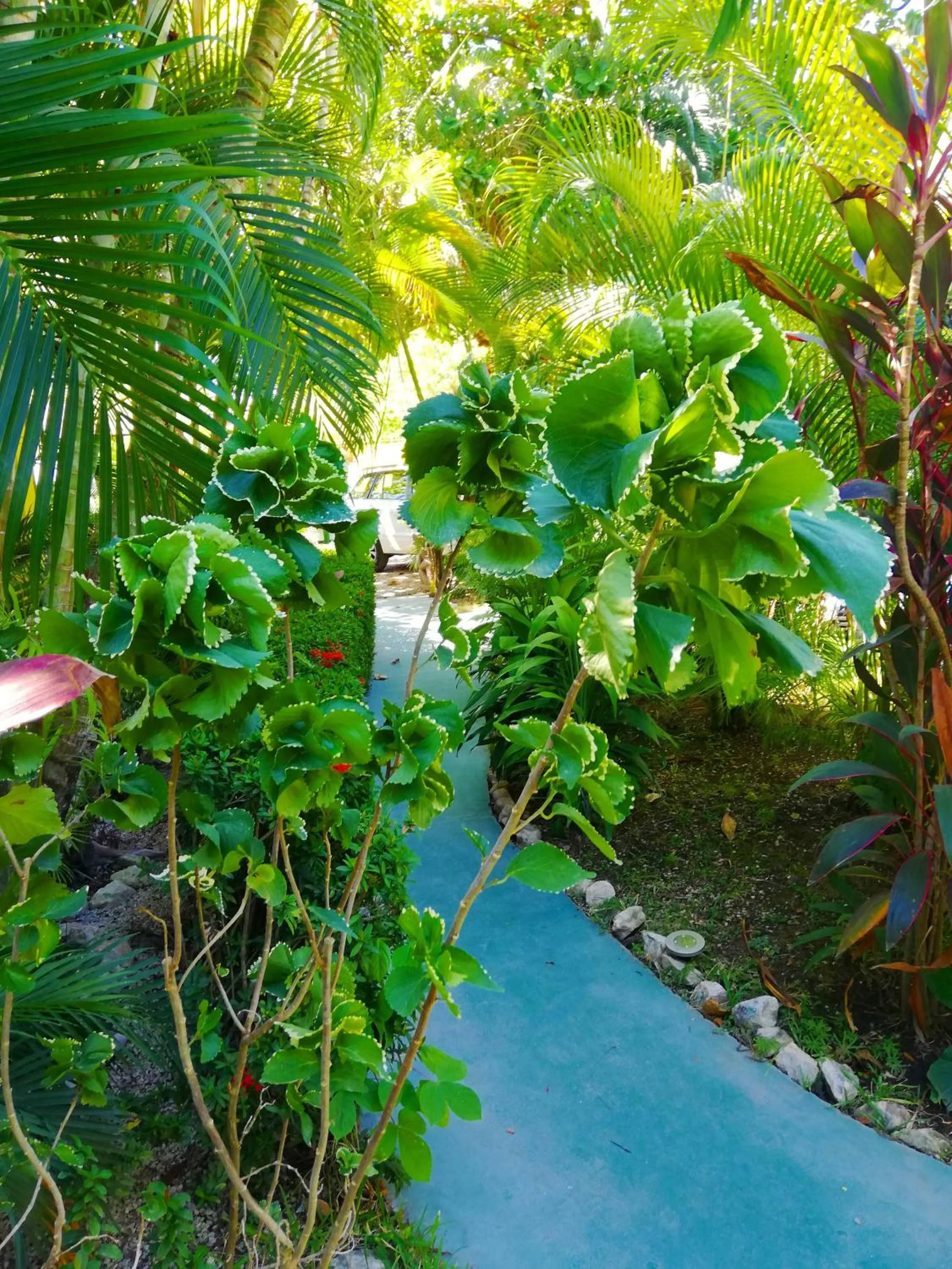 Natural landscape in Villas Verdes