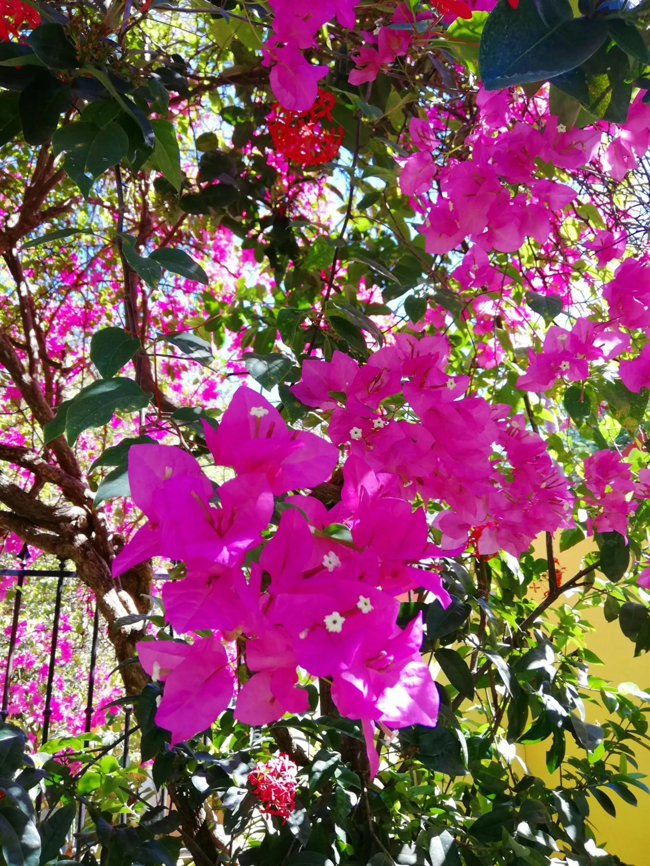 Natural landscape in Villas Verdes