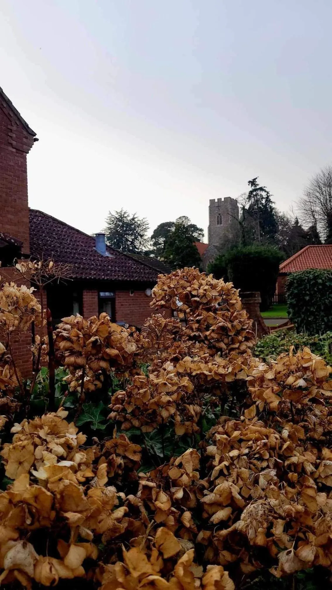Landmark view in Church Farm Guest House
