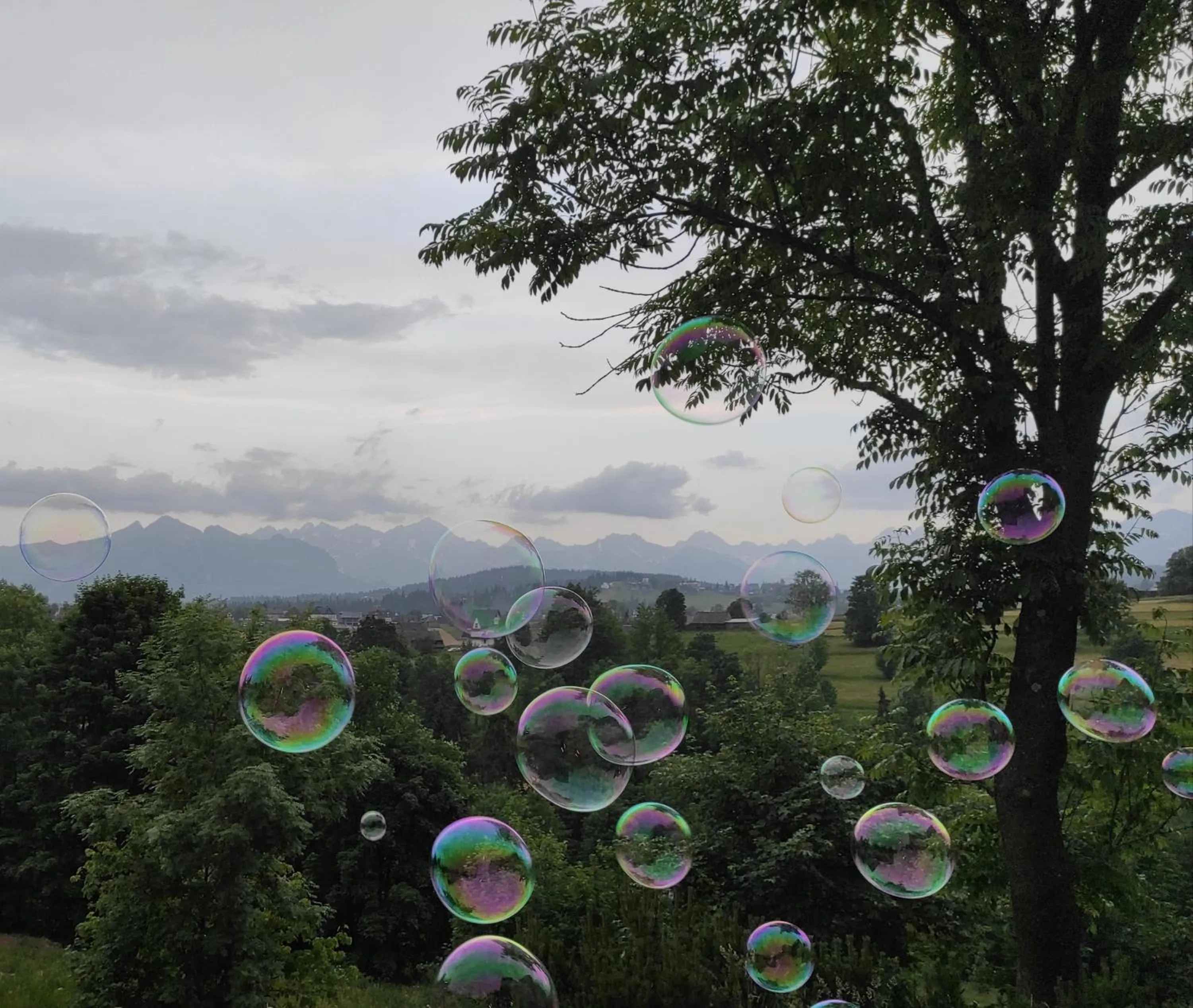 Day in Bystry Comfort