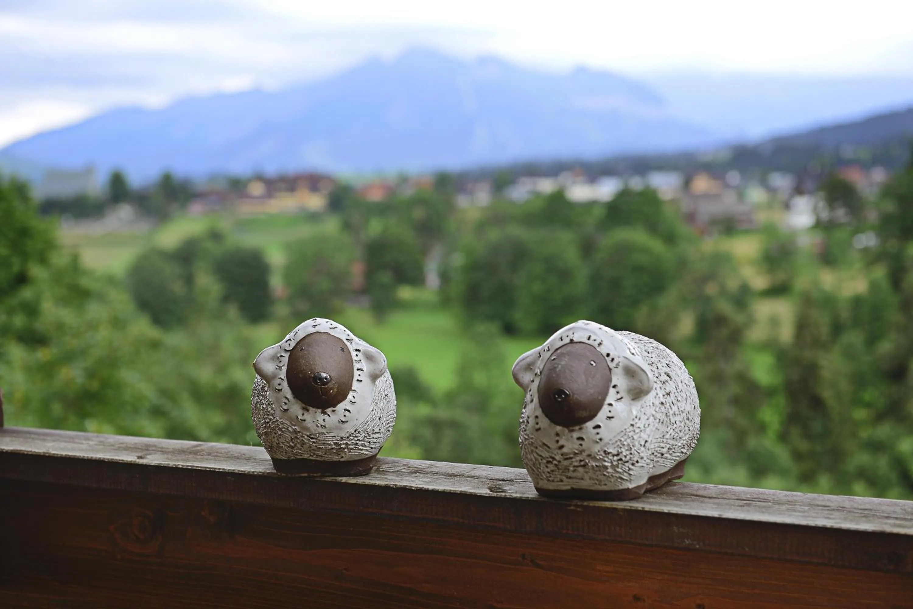 Day in Bystry Comfort