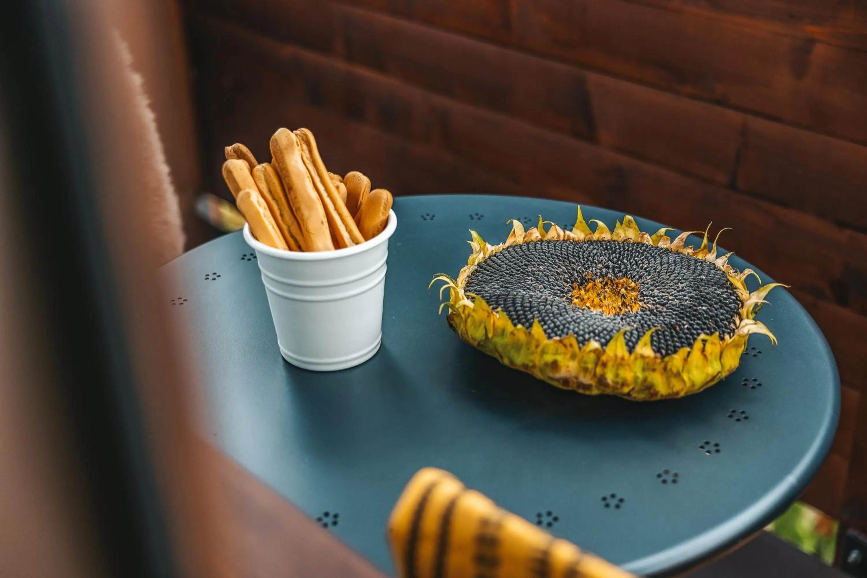 Balcony/Terrace in Bystry Comfort