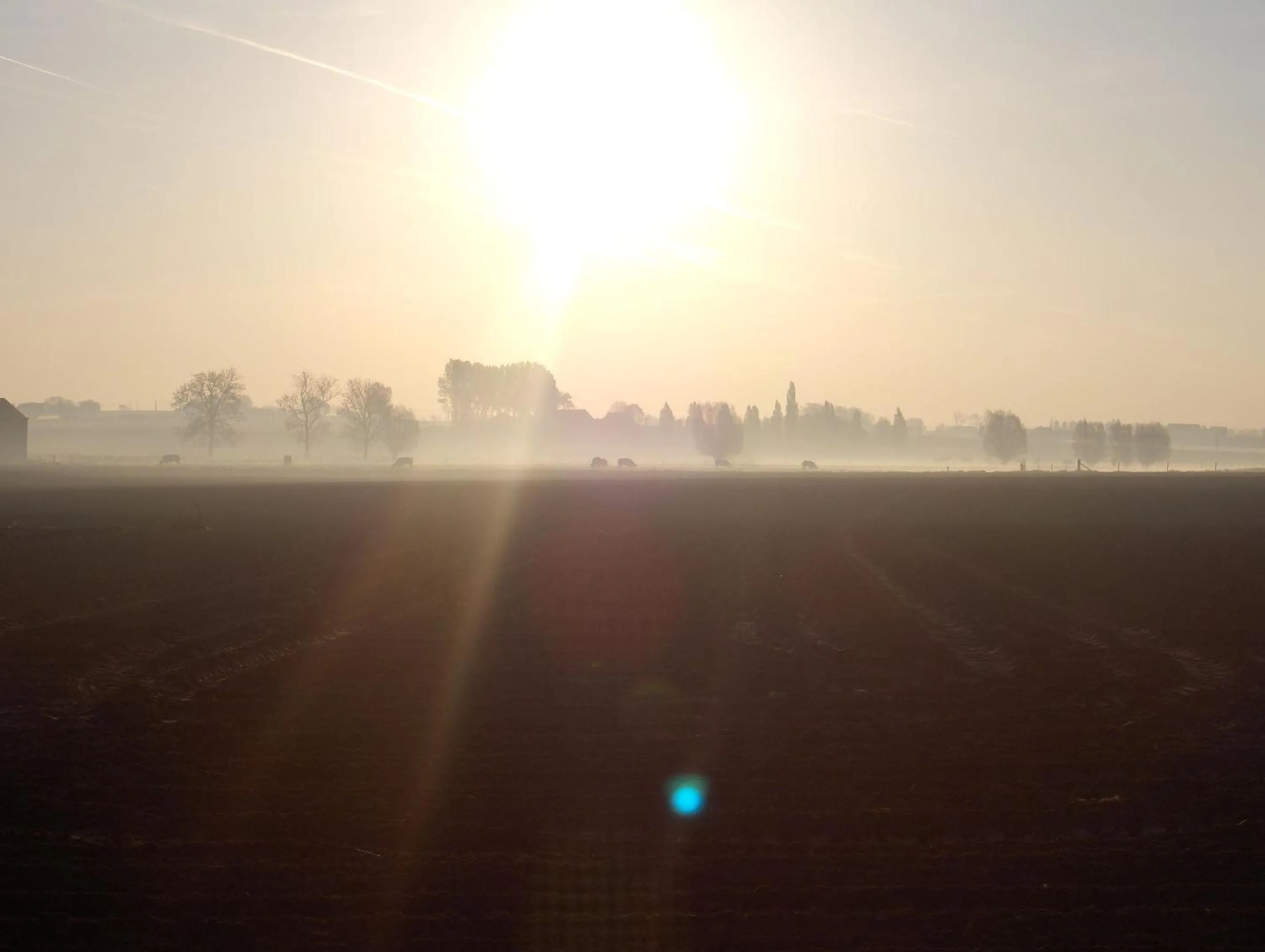 Neighbourhood in Varlet Farm