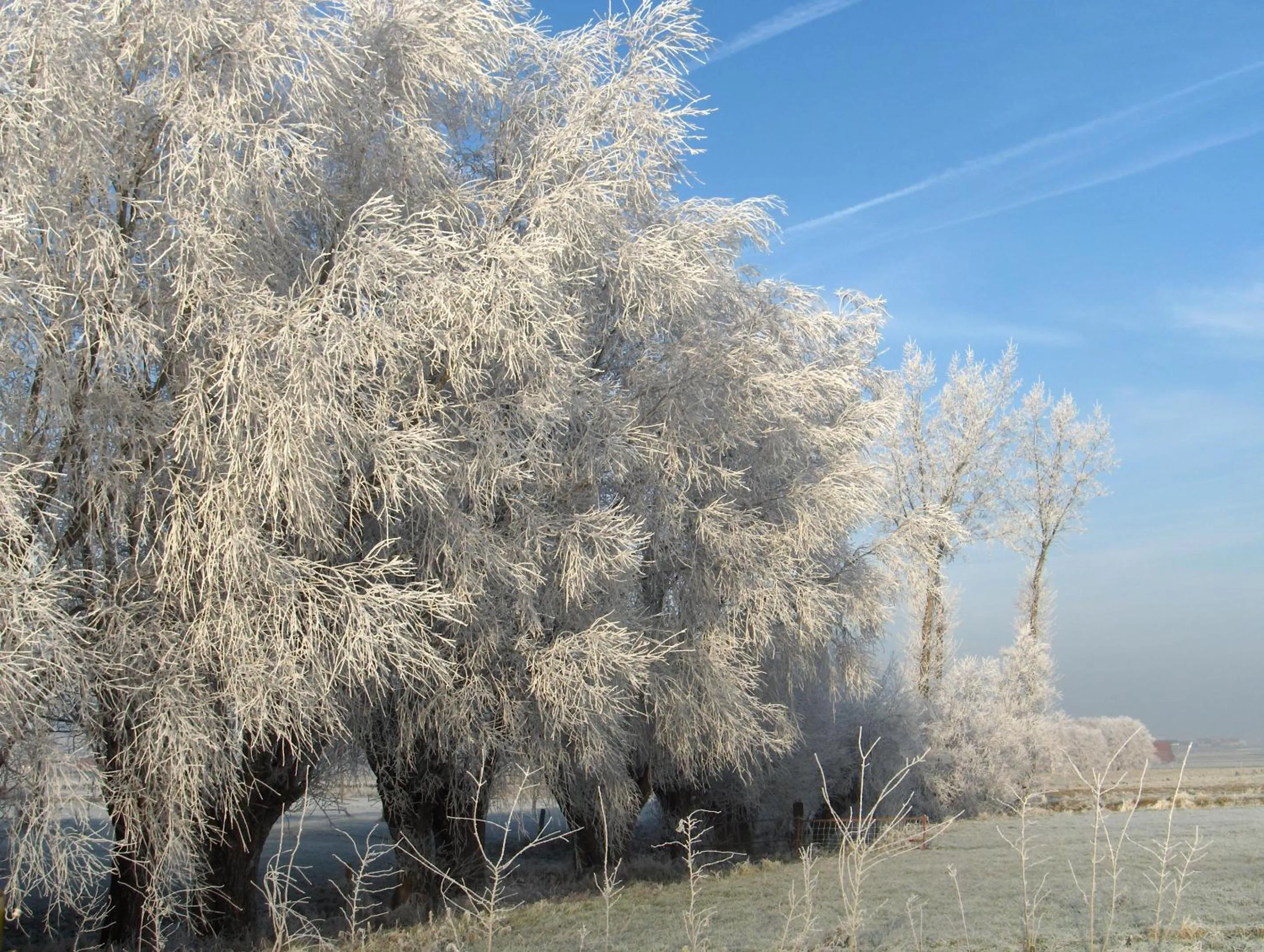 Natural landscape in Varlet Farm