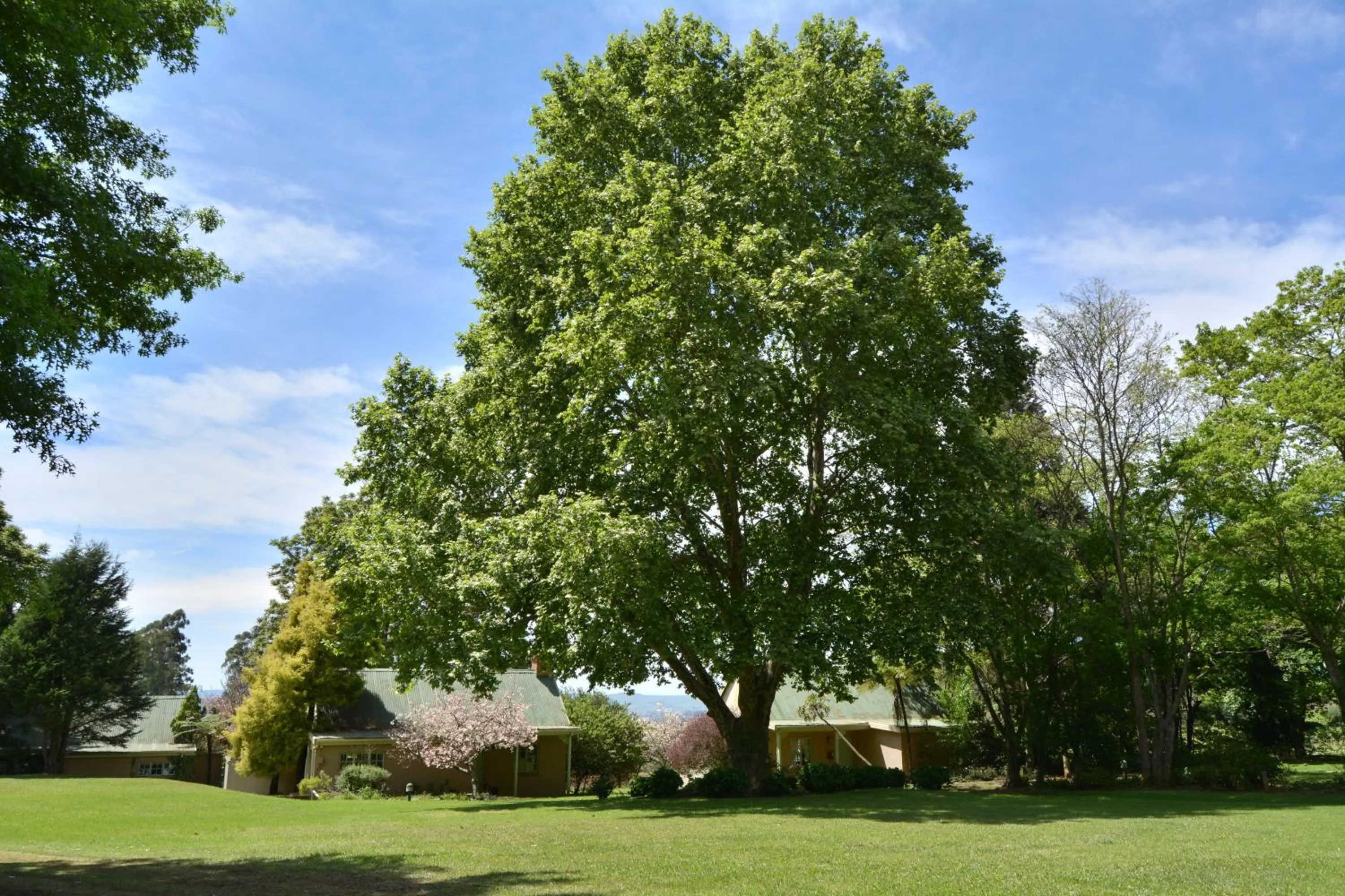 Garden in Halliwell Country Inn