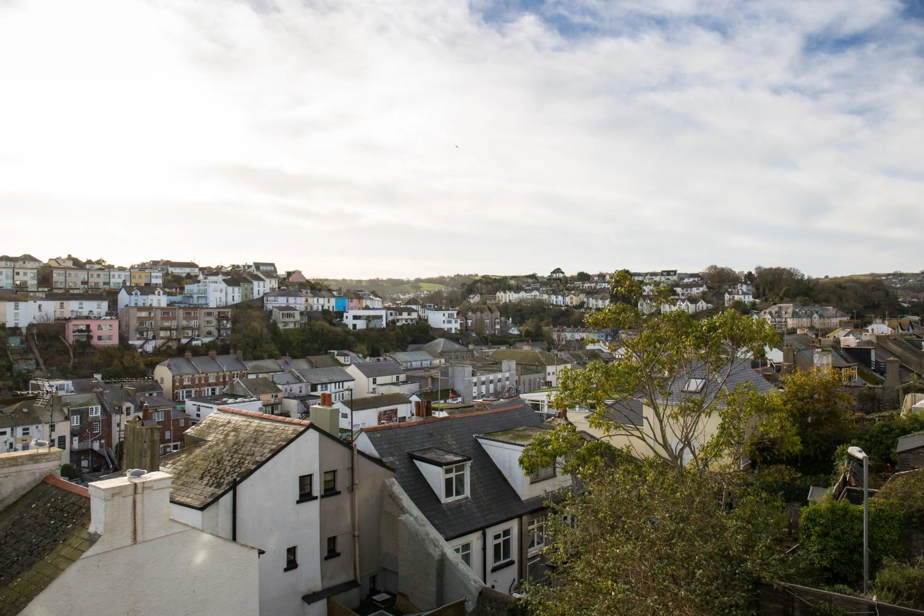 Neighbourhood in Driftwood B&B
