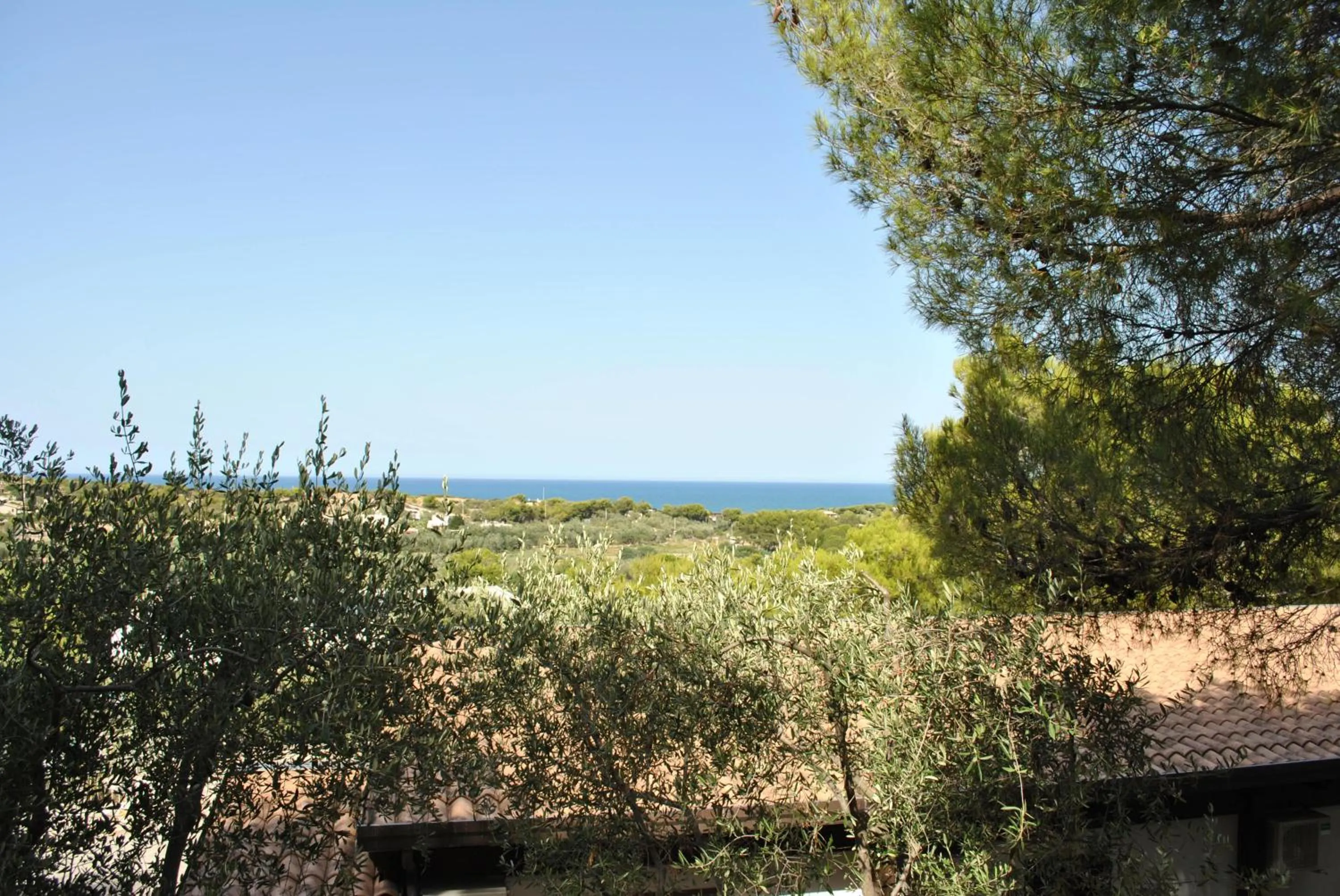 Garden view in Viestemare Resort & SPA